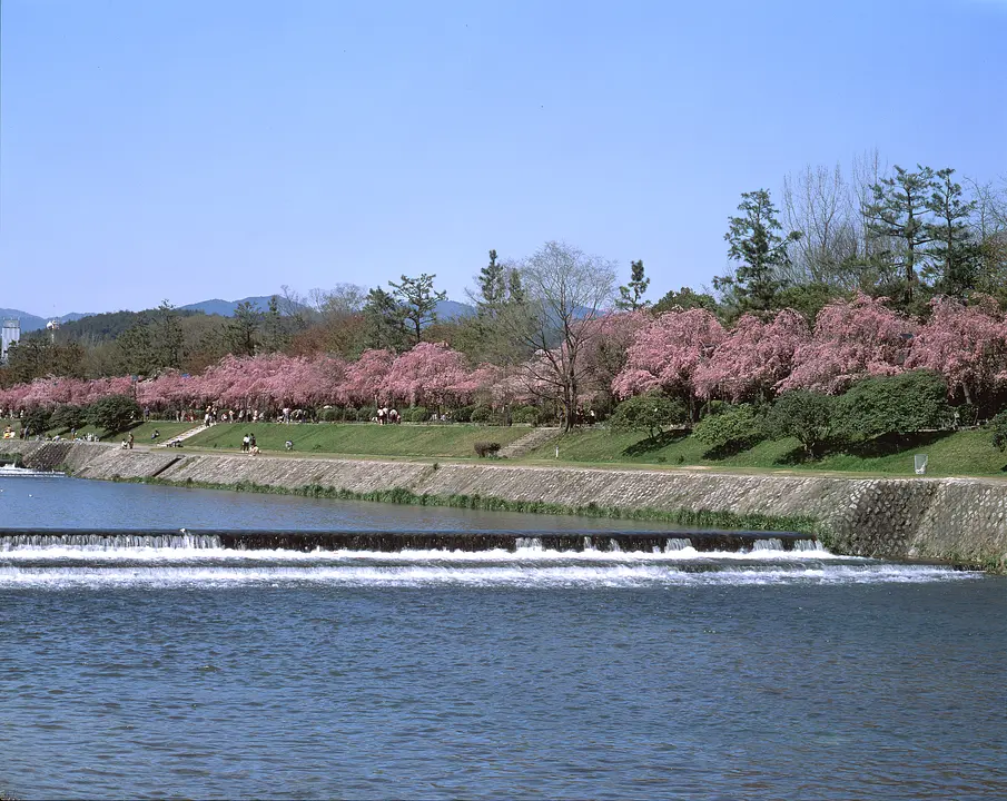 鴨川（京都市）