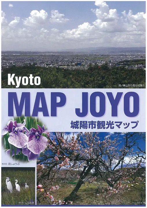 MAP JOYO