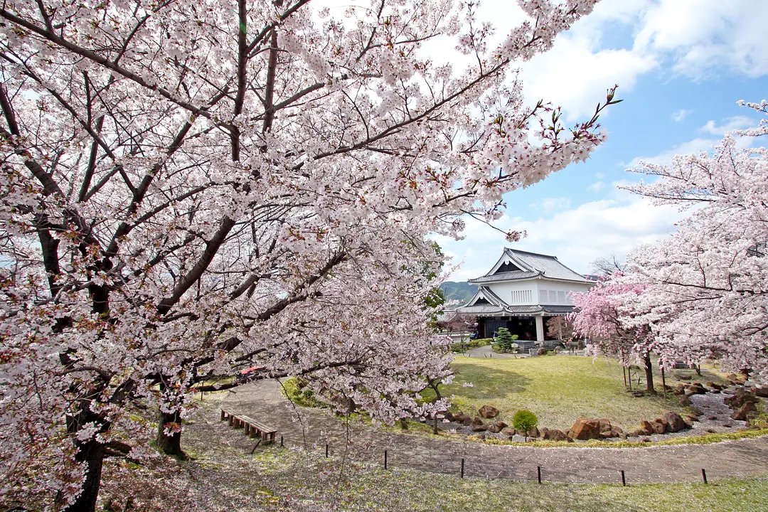 勝竜寺城003☆補正.jpg