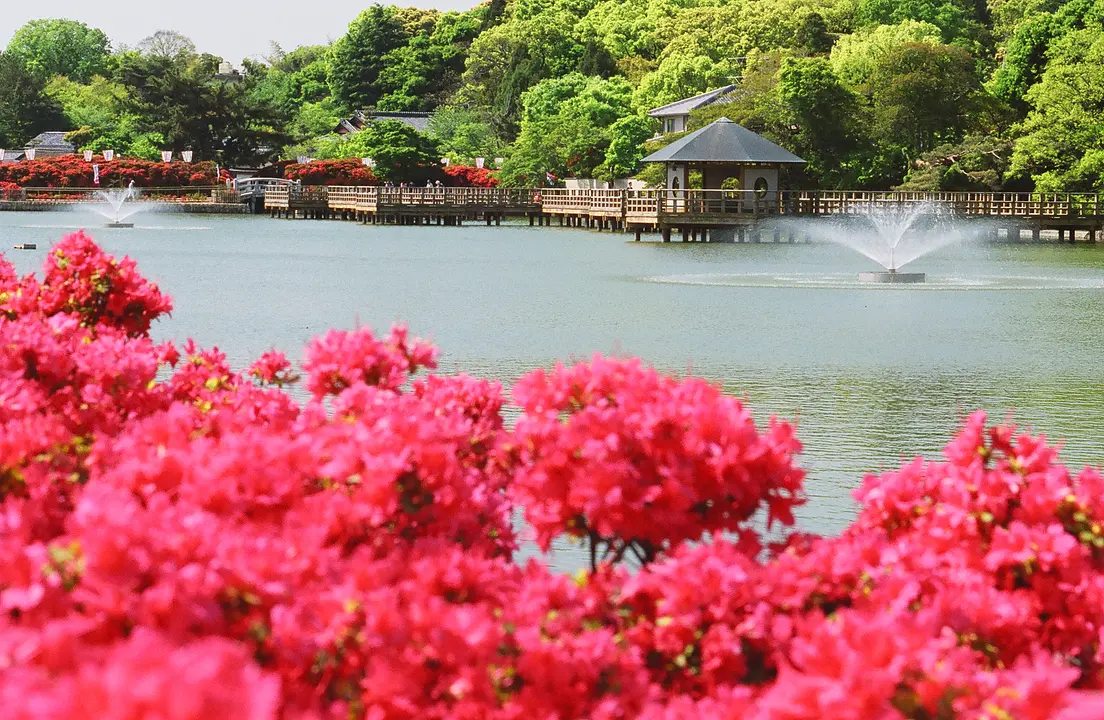 長岡天満宮1_4月(長岡京市).JPG