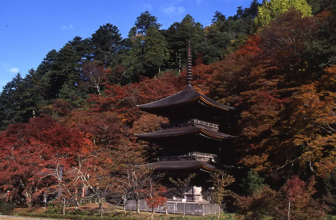 金剛院_紅葉1(舞鶴市).jpg