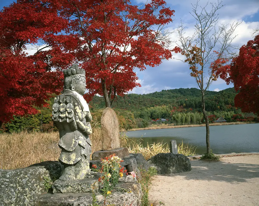 広沢の池畔_紅葉_11月（京都市）.jpg