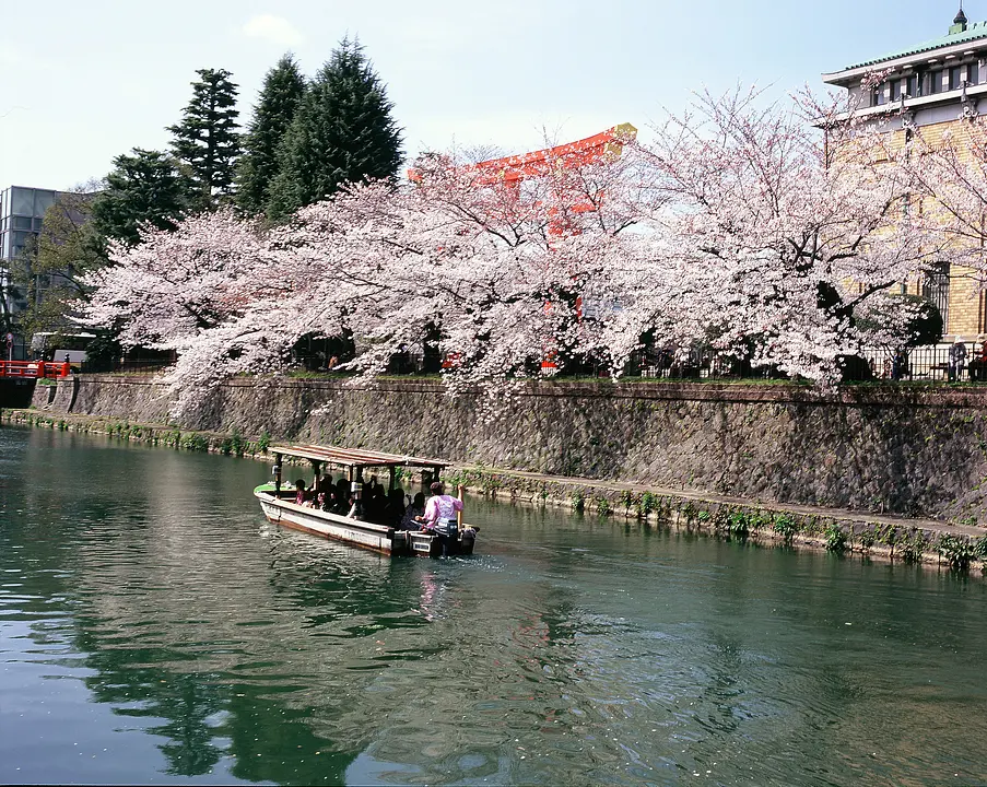 京都市左京区_岡崎疏水_桜1.jpg