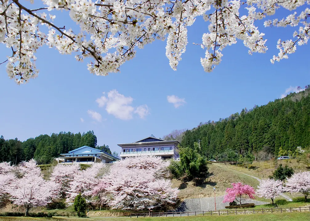 春　睦寄町　あやべ温泉.jpg