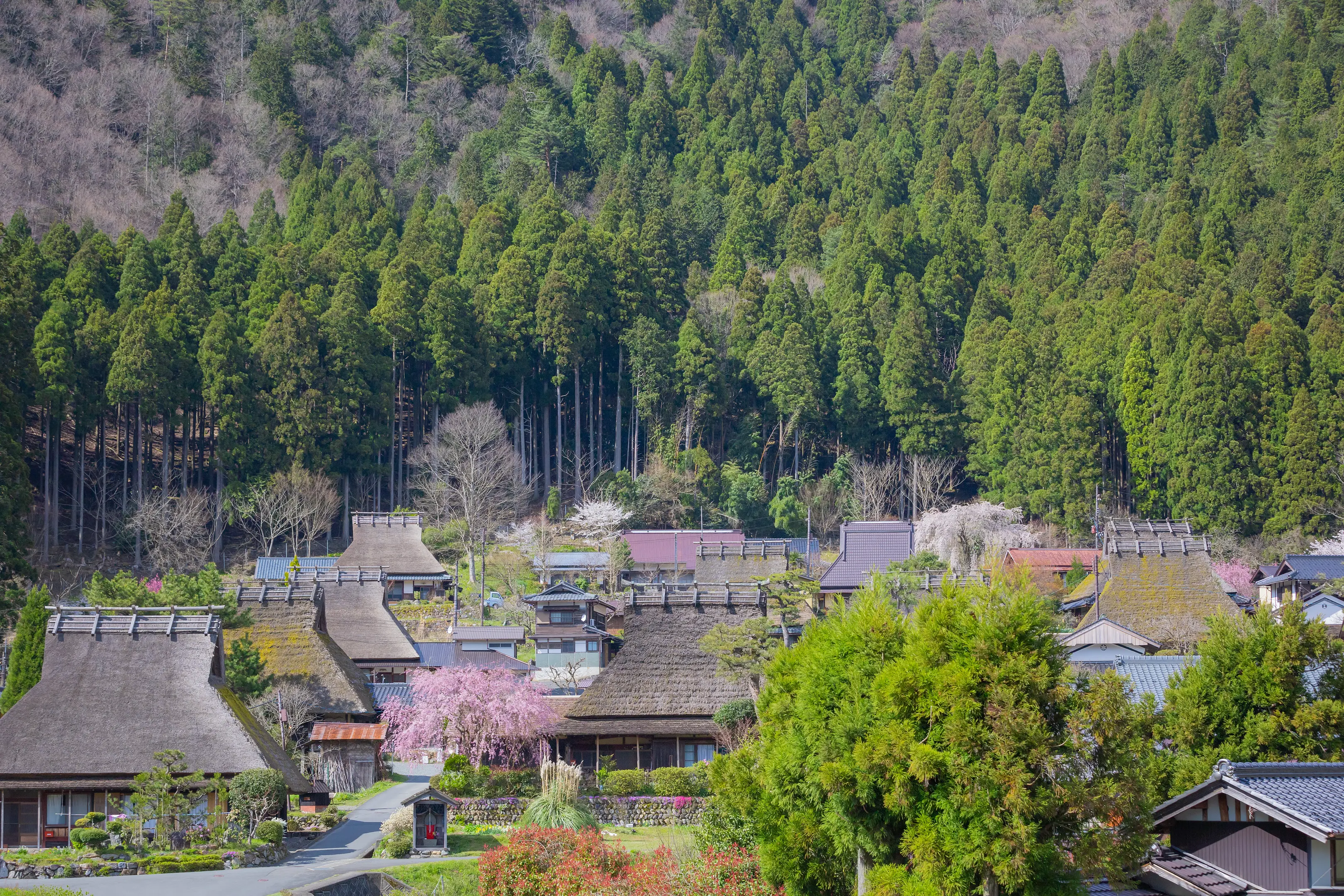 かやぶきの里②.jpg