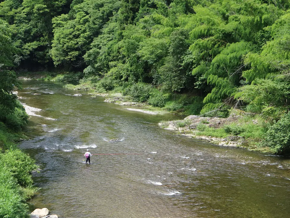 美山川の魚釣り差替え①.JPG