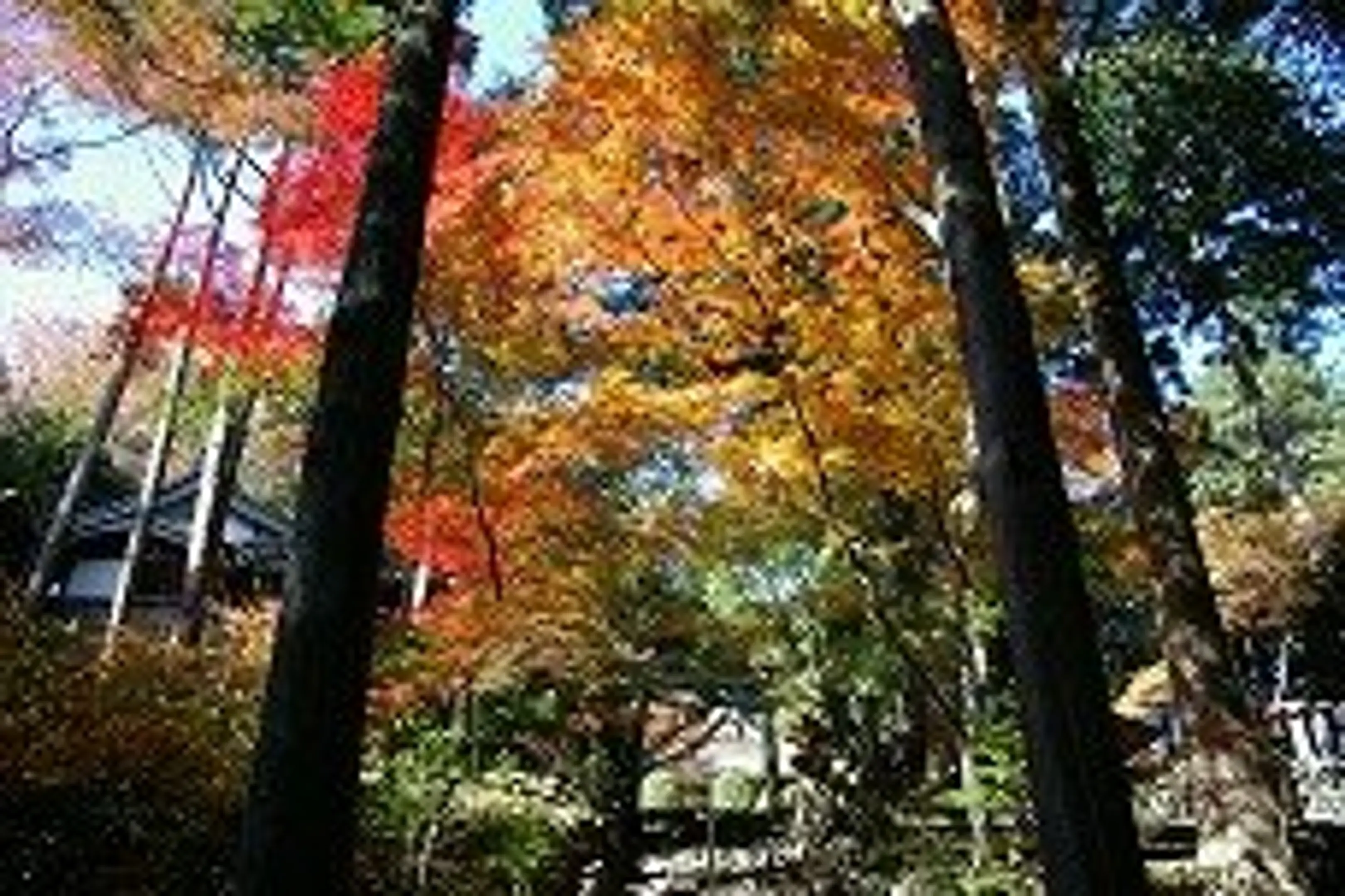 猿丸神社の紅葉