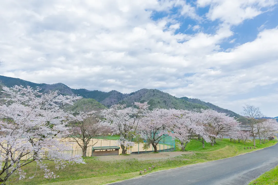 長谷運動公園①.jpg