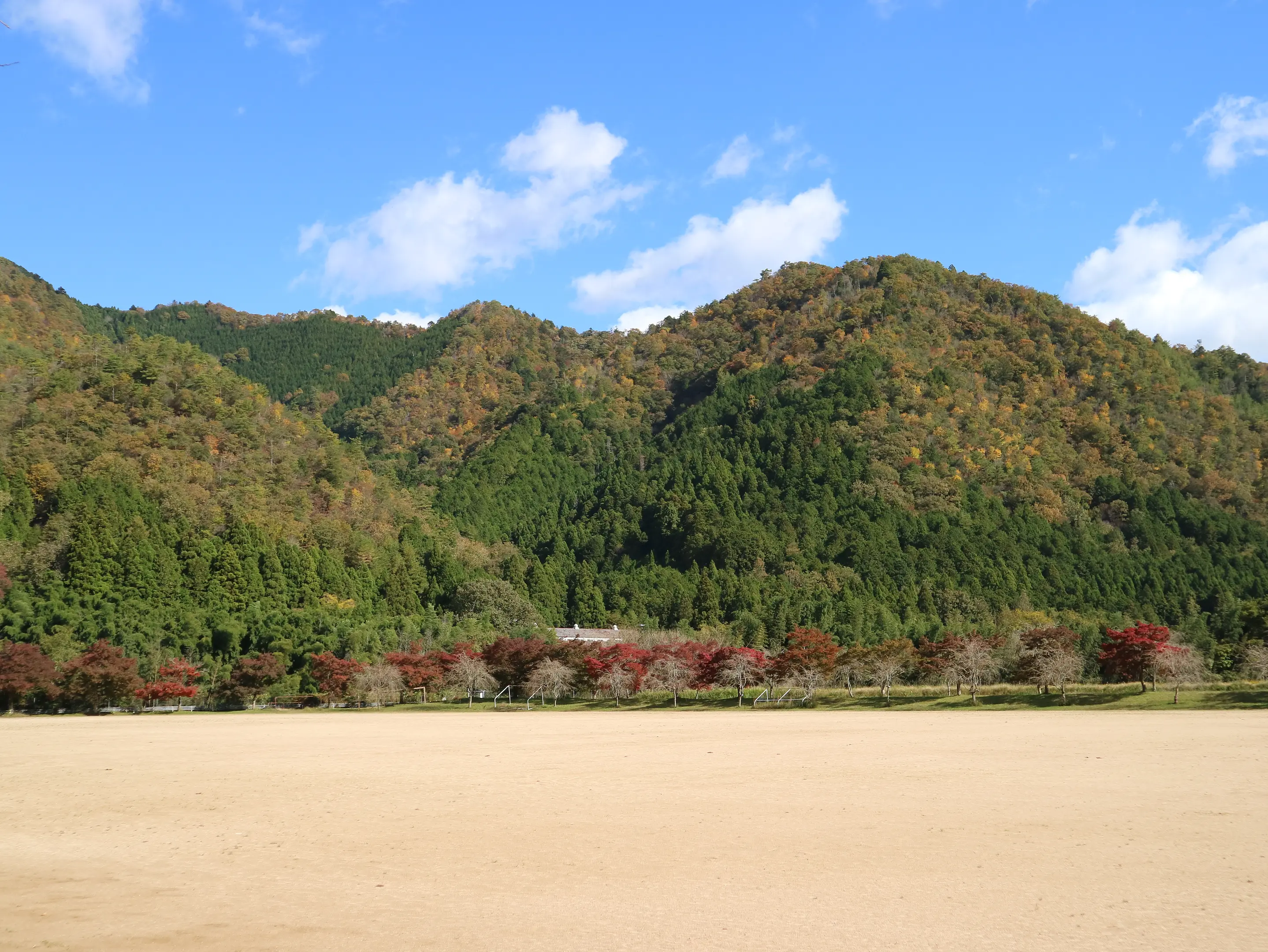 長谷運動公園③.JPG