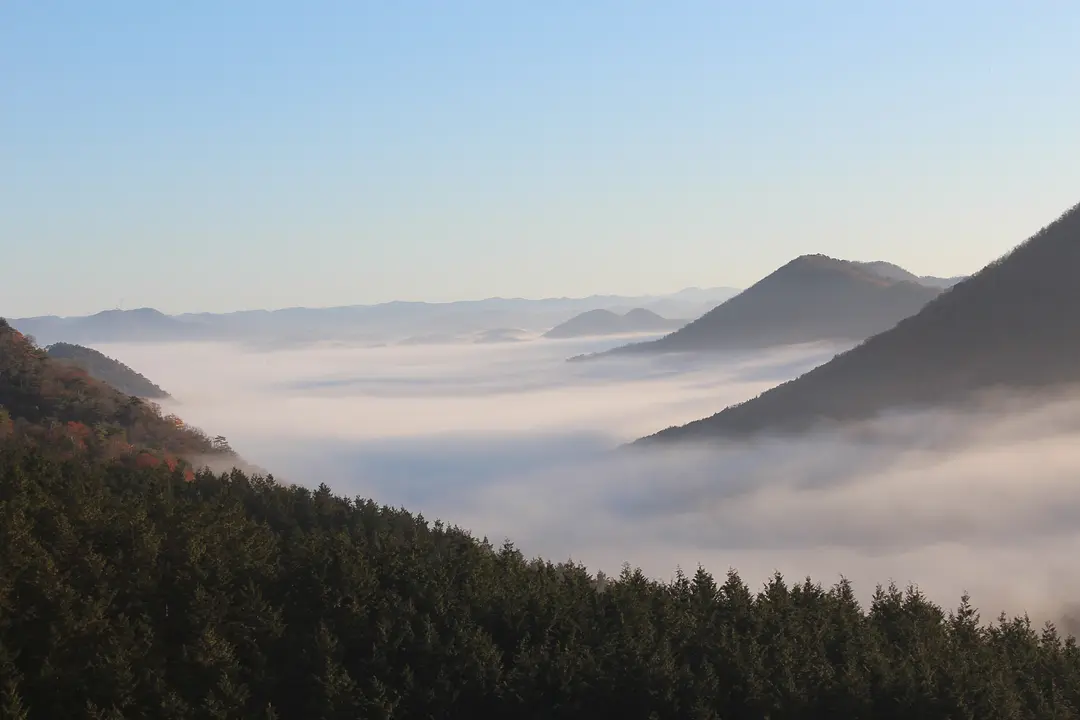 雲海.JPG