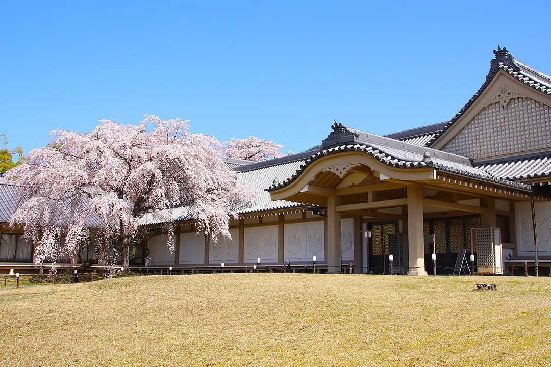 醍醐寺霊宝館00003570_霊宝館外観 (002).jpg