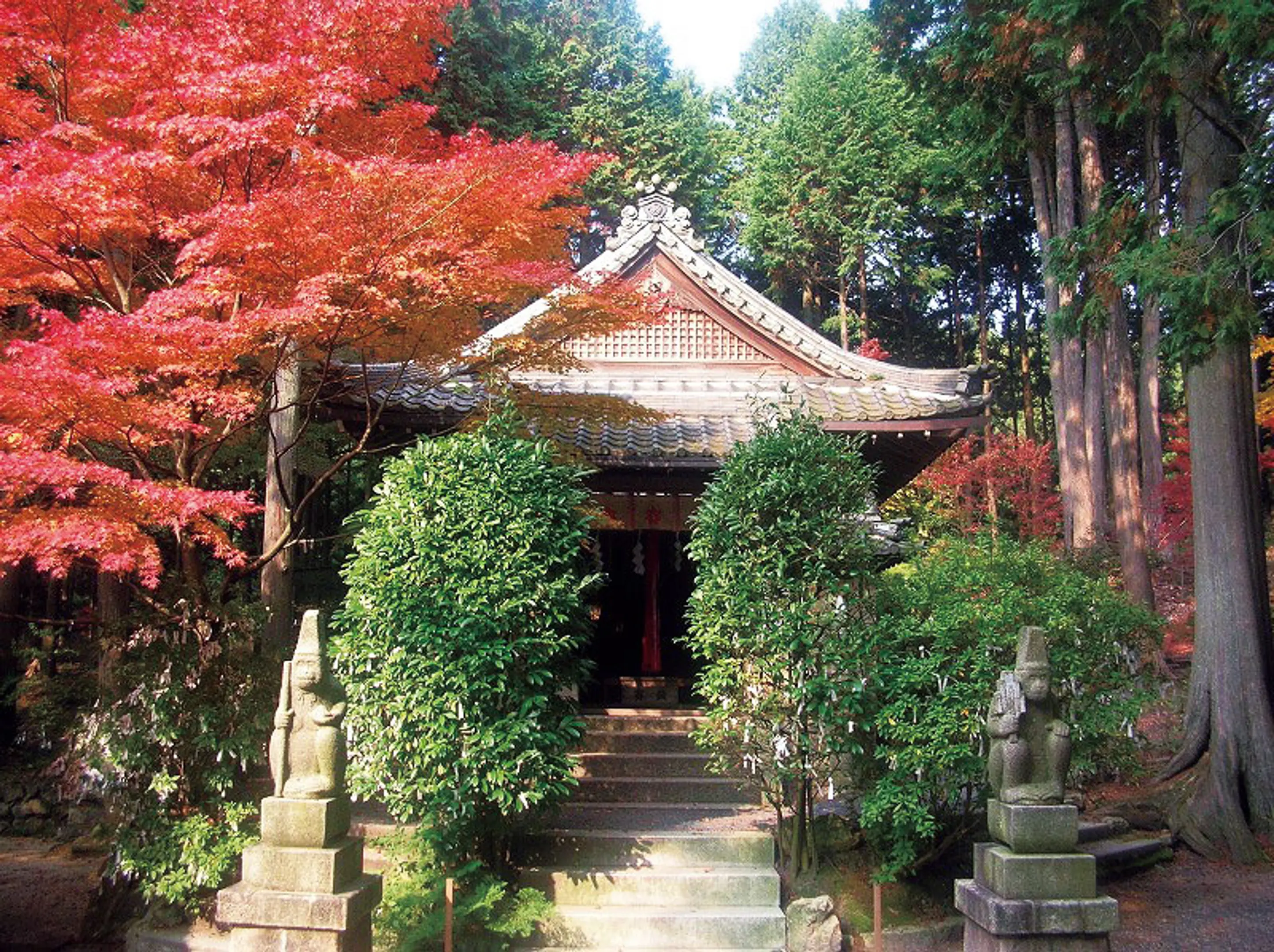 猿丸神社の紅葉