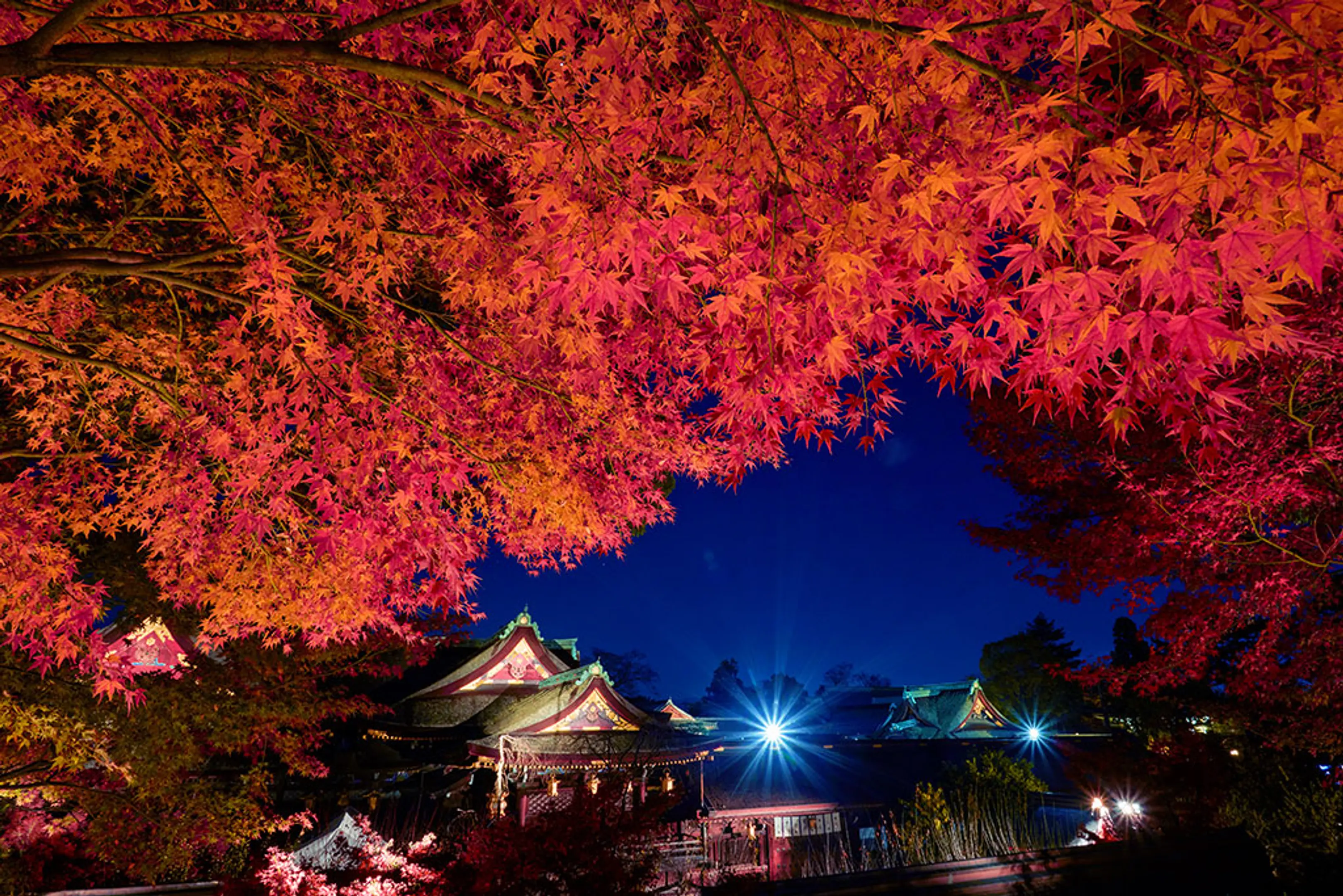 北野天満宮の紅葉