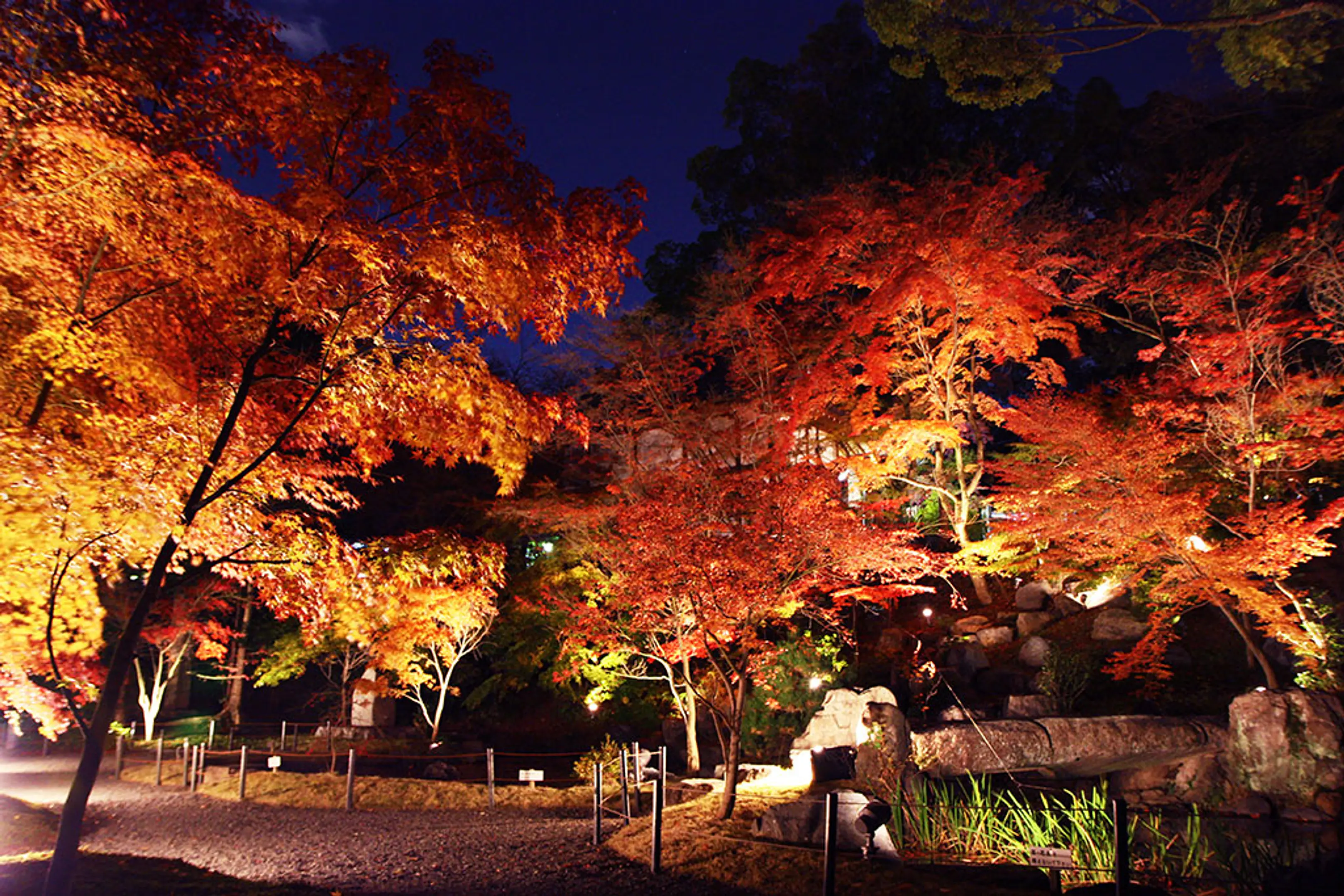 長岡天満宮の紅葉