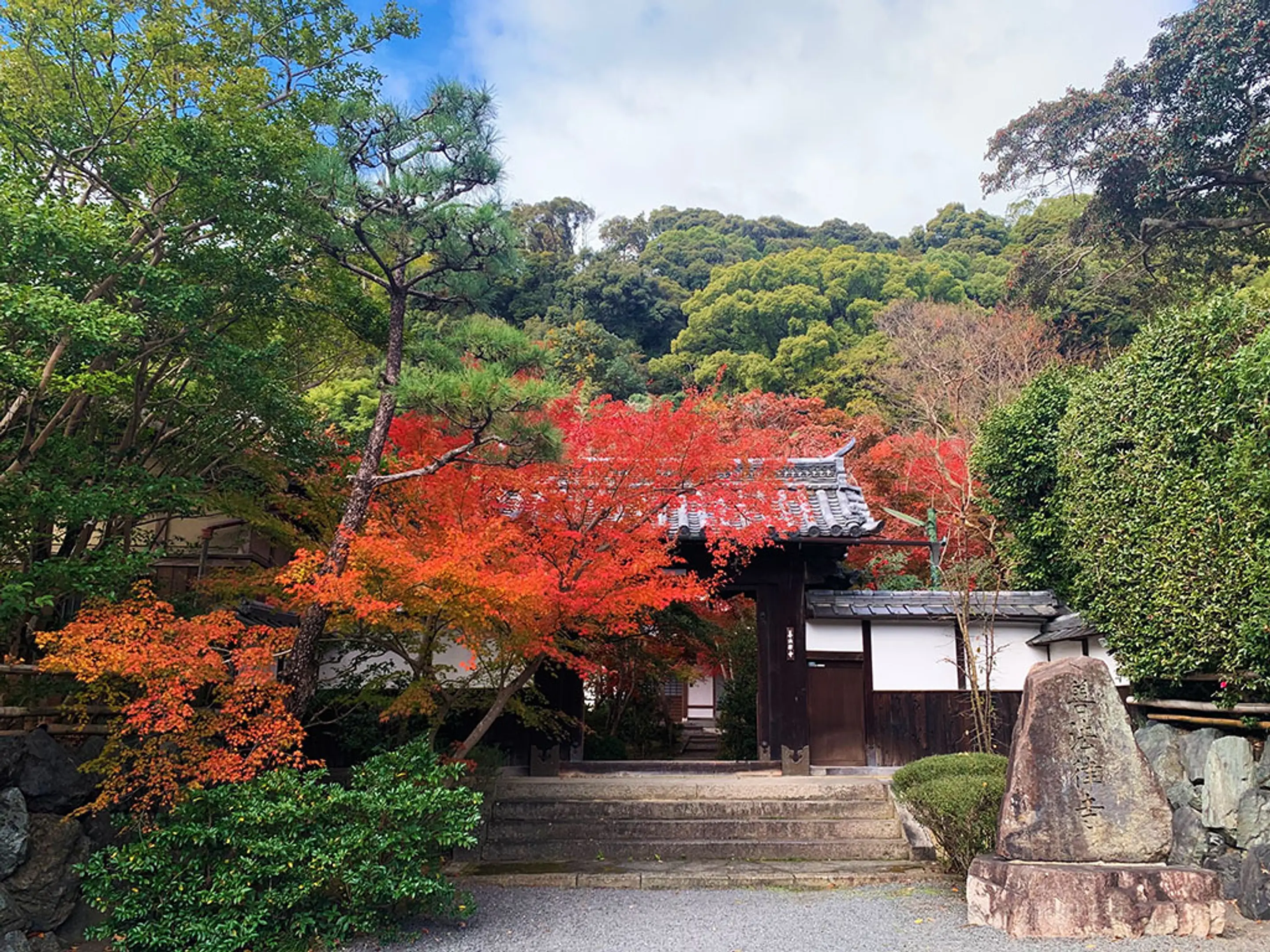 善法律寺(紅葉寺)の紅葉