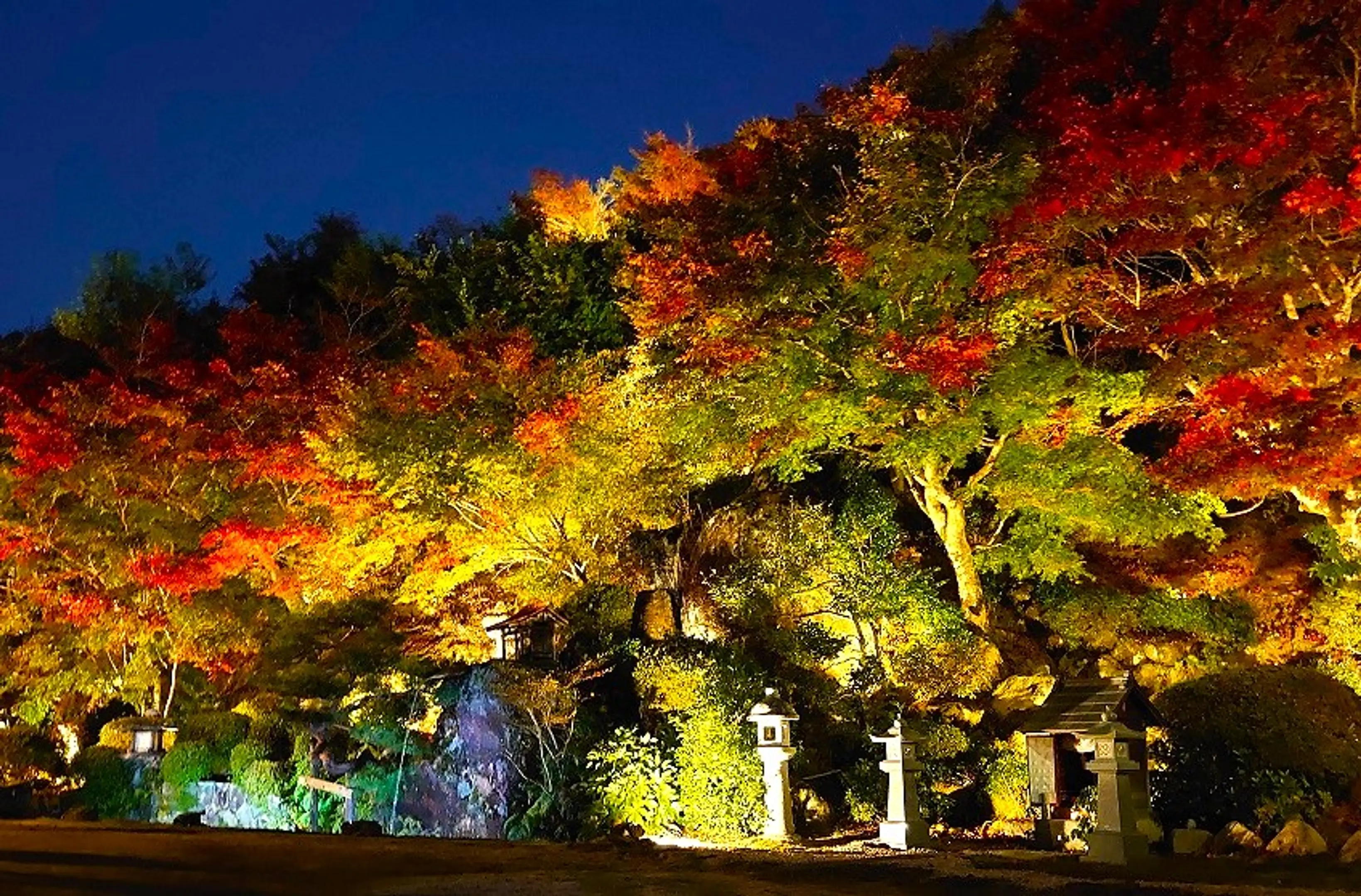 慈徳院の紅葉