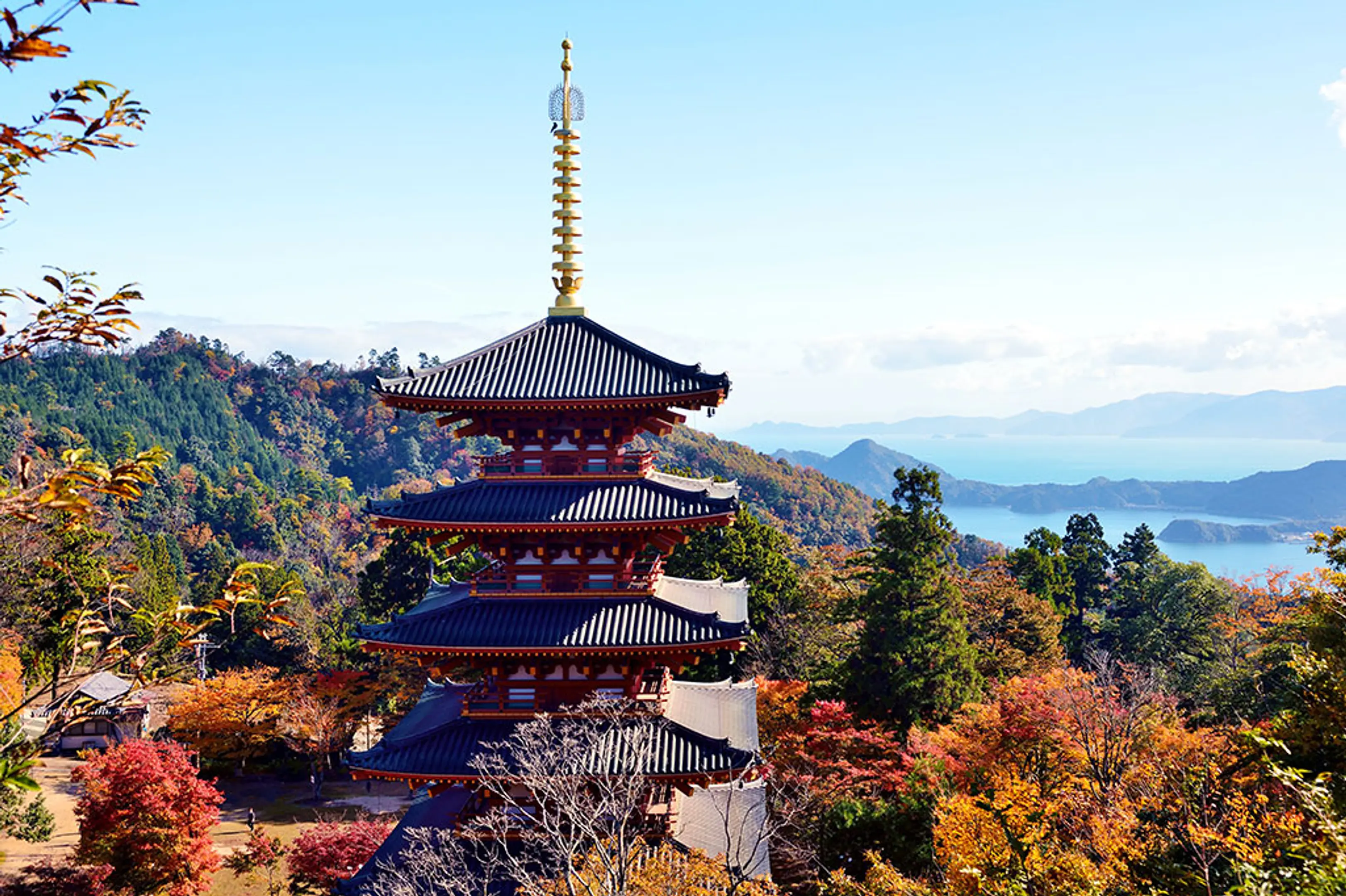 成相寺の紅葉