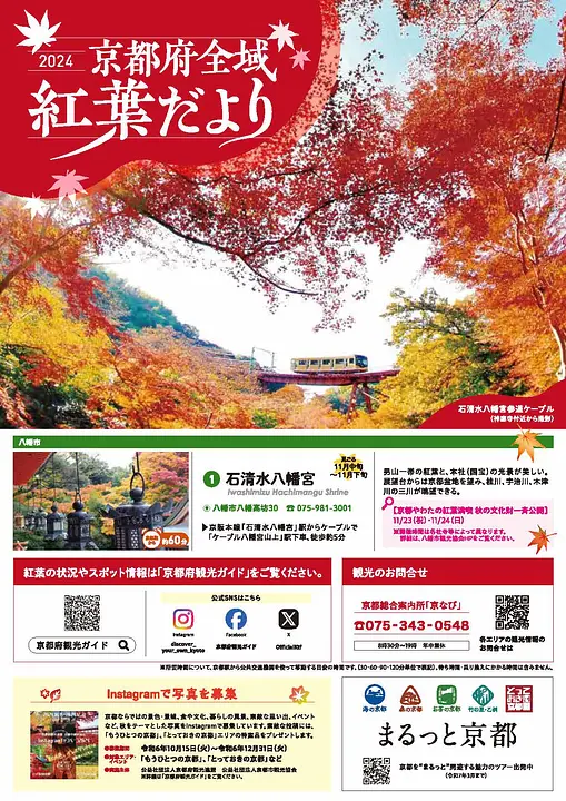 京都府全域 紅葉だより2024