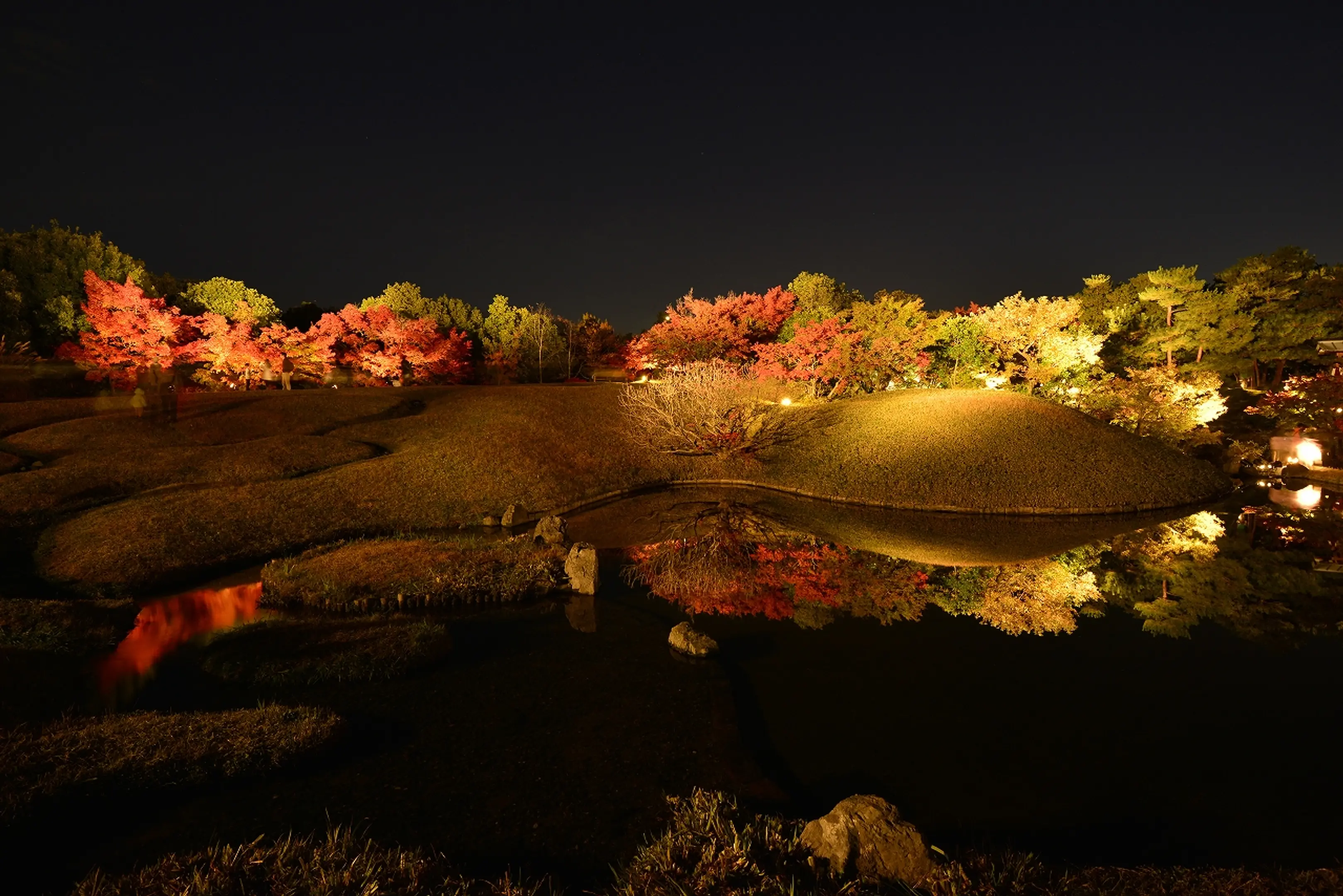 【梅小路公園】紅葉