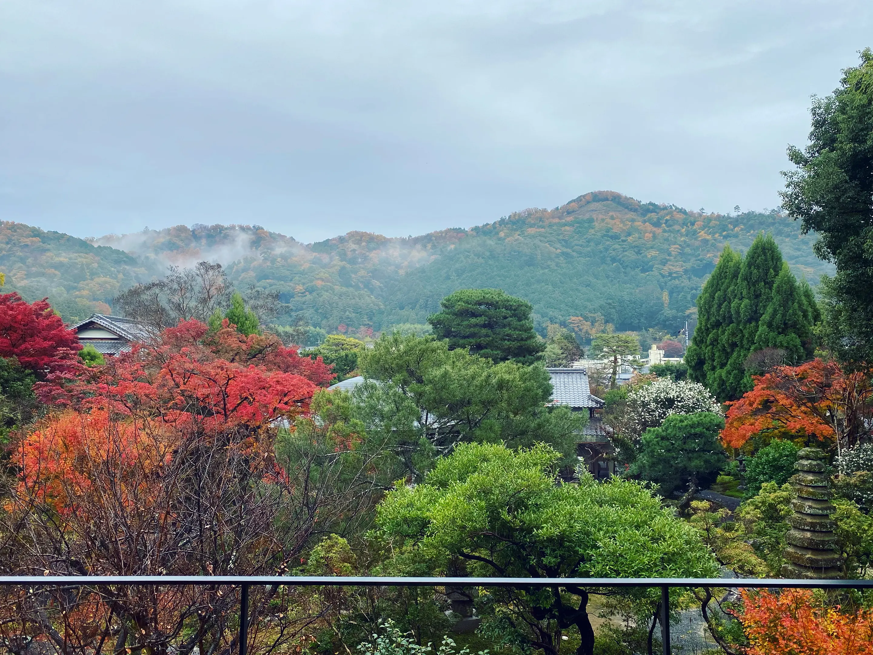 【白沙村荘】紅葉