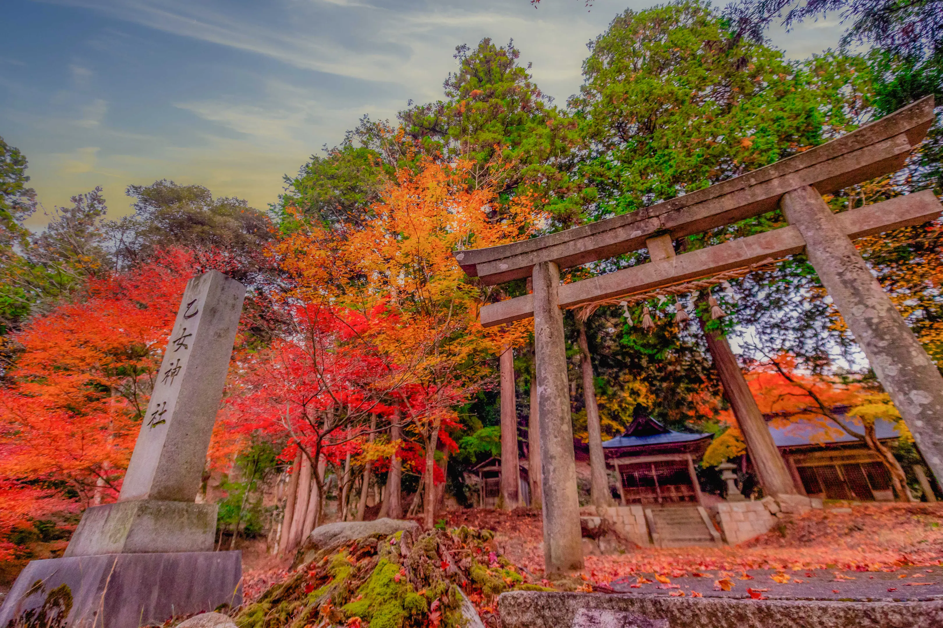 【乙女神社周辺】紅葉