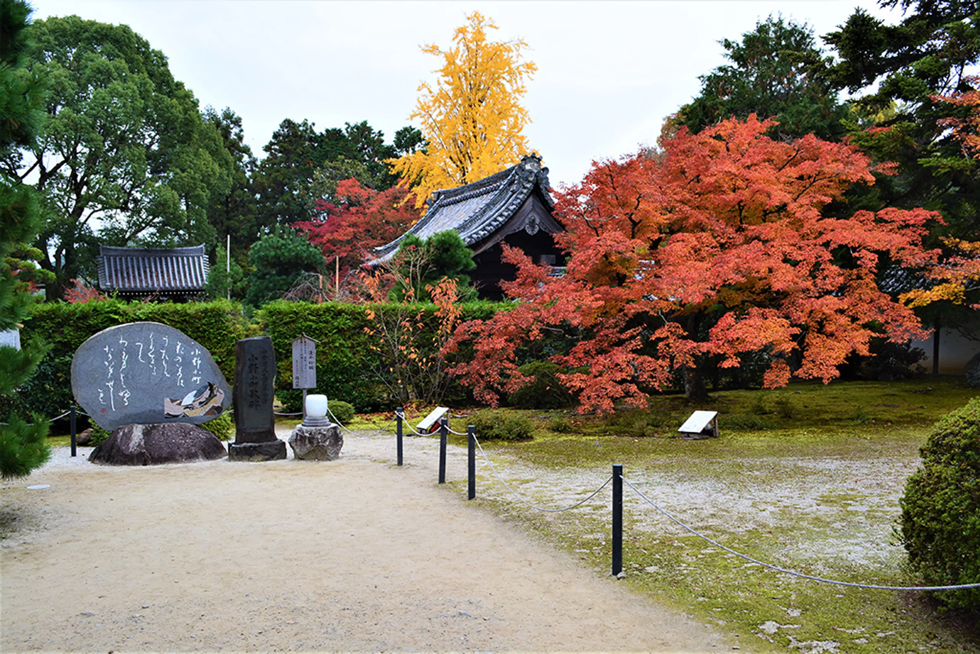 【隨心院】紅葉