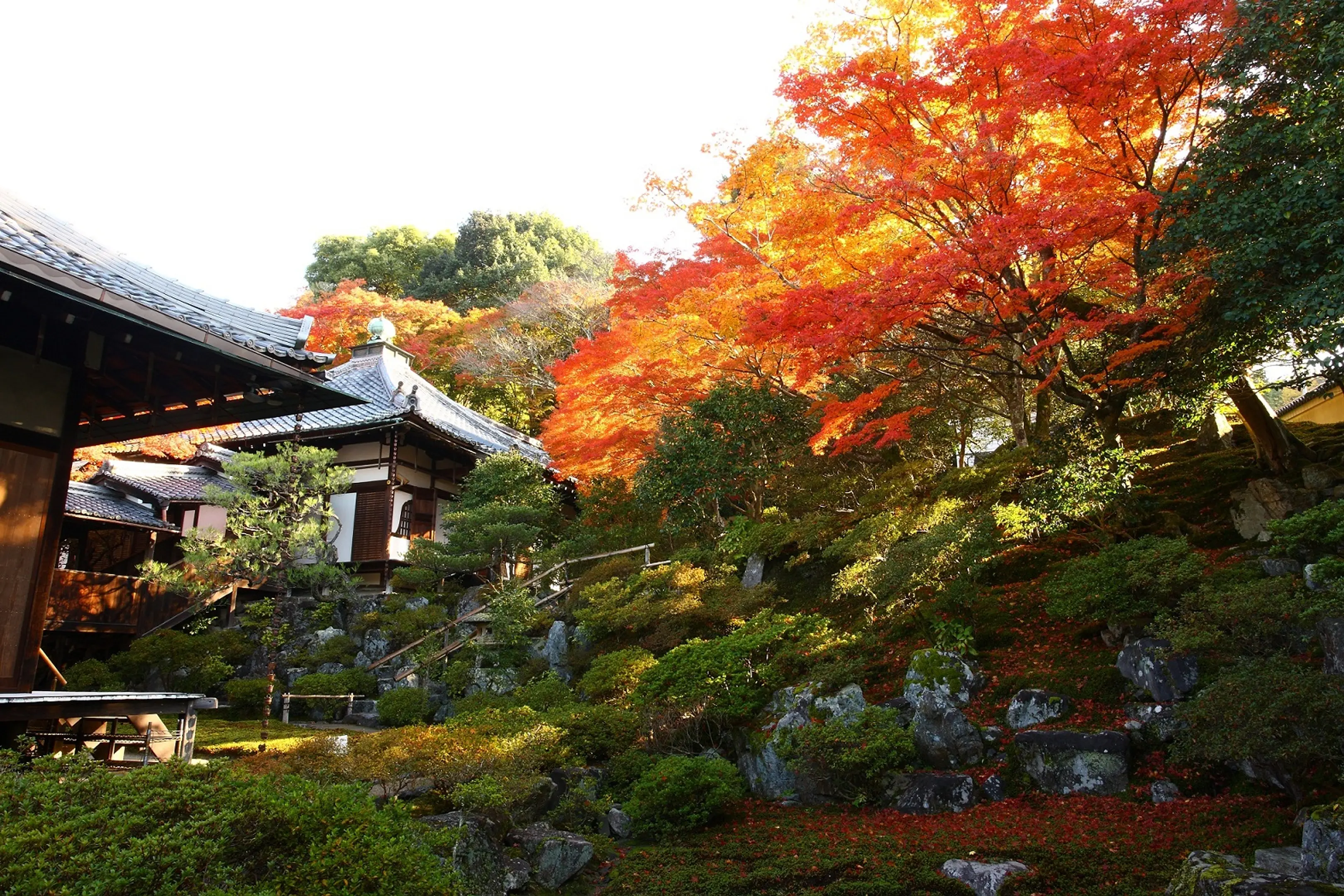 【霊艦寺】紅葉