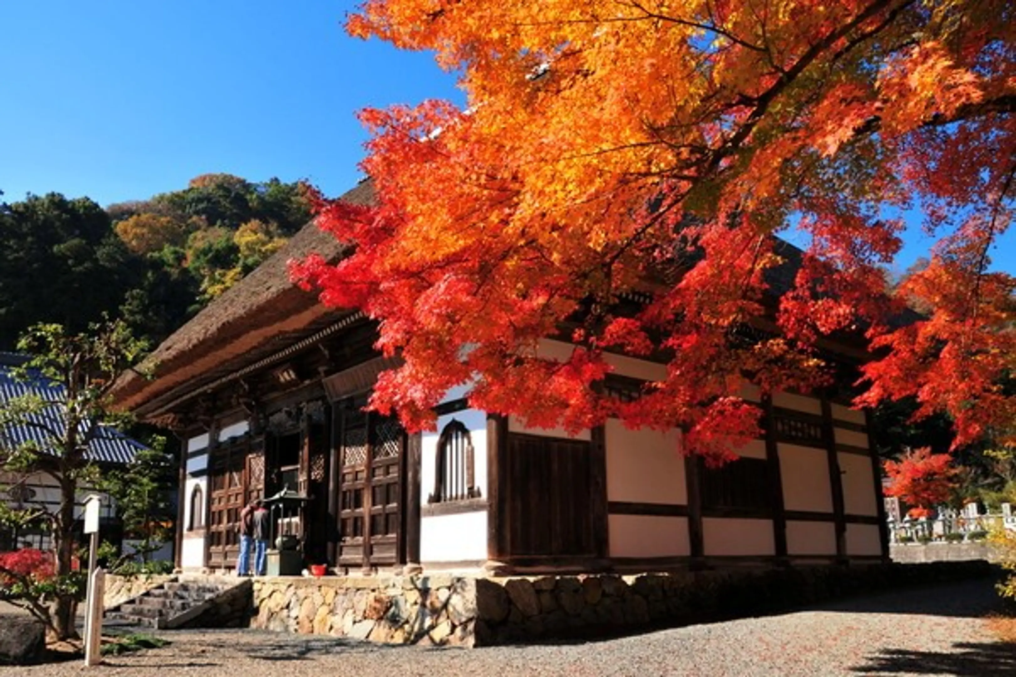 【安国寺】紅葉