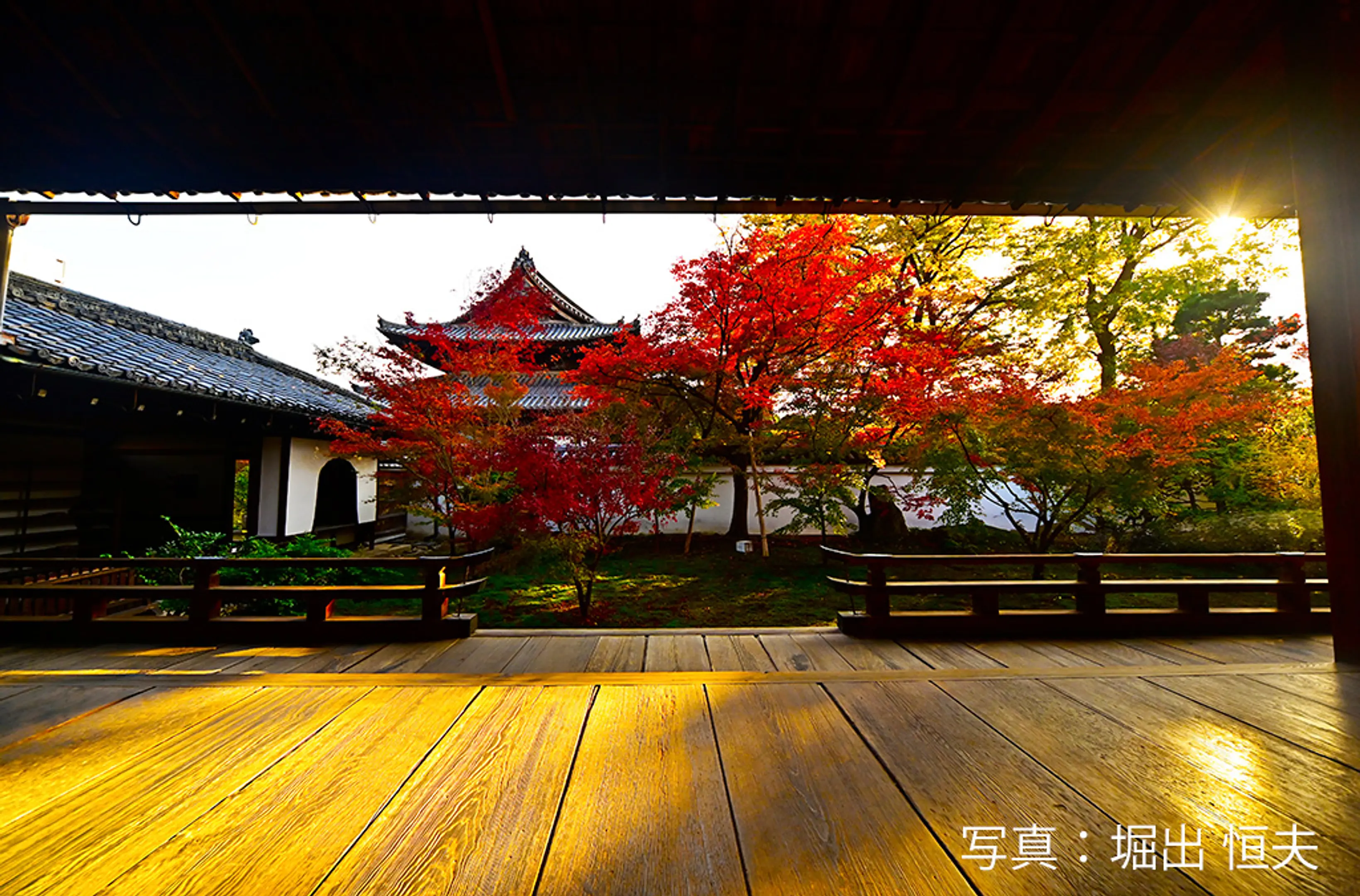 【西陣興聖寺】紅葉