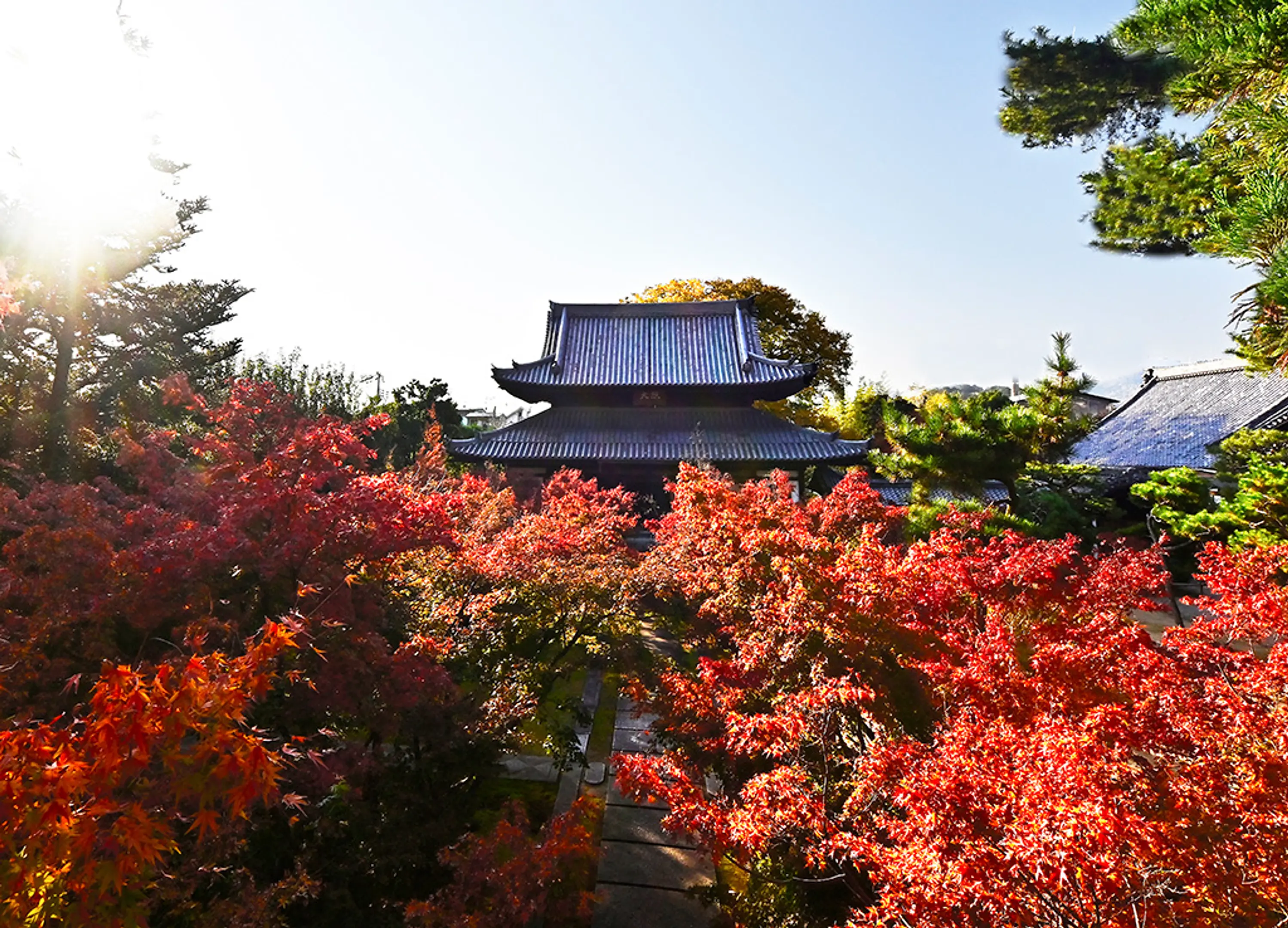 【西陣興聖寺】紅葉