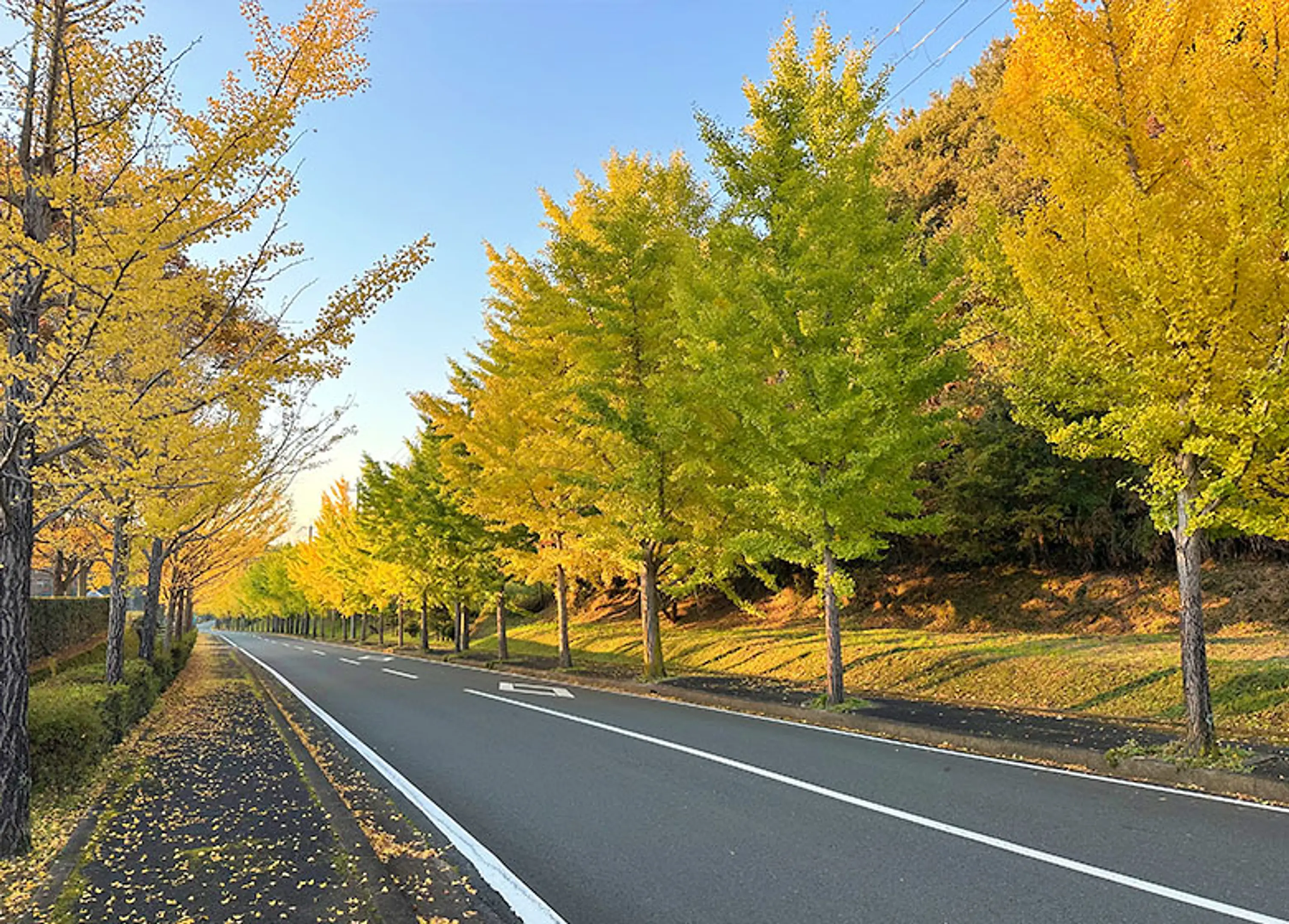 【グリーンランドみずほ】紅葉