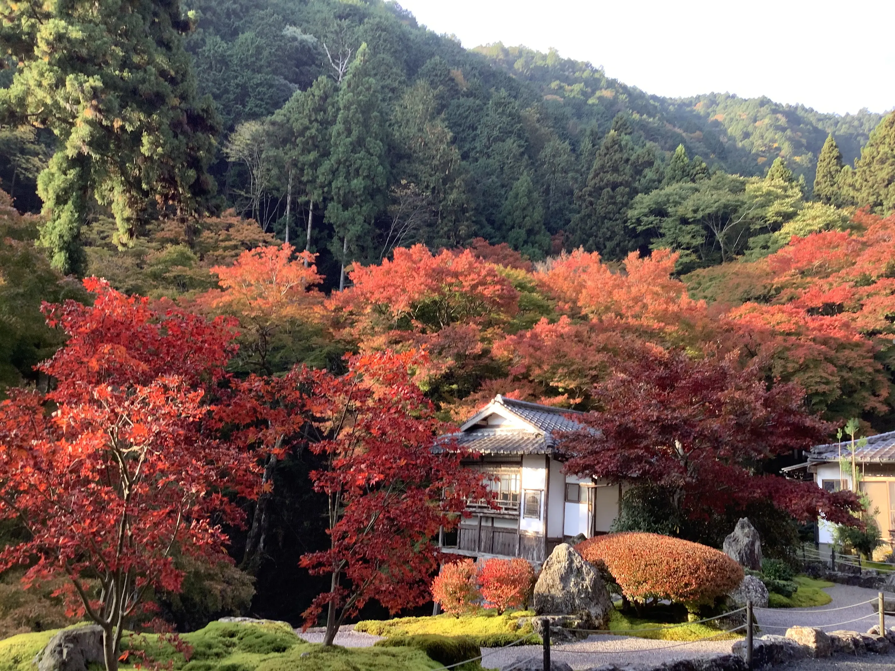 【古知谷阿弥陀寺】紅葉