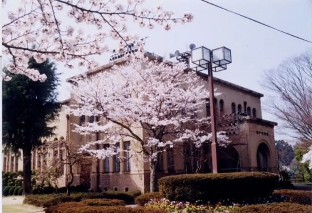 【薬師ヶ丘さくらの森公園】桜