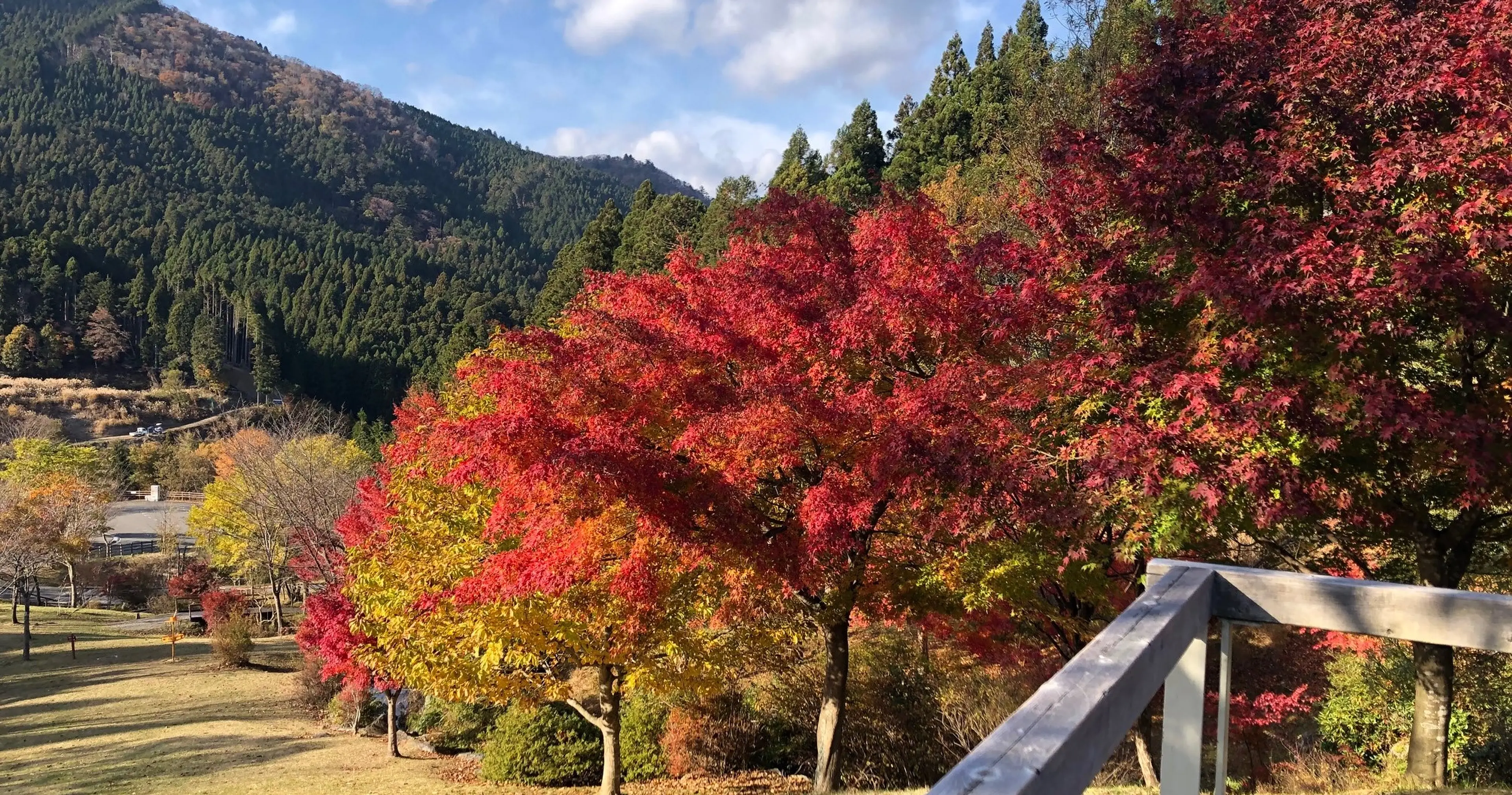 花背山の家3.jpg