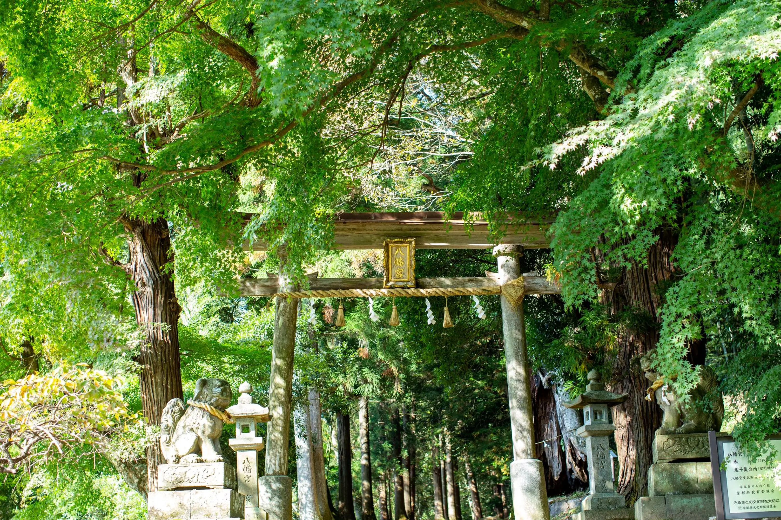 質美八幡宮鳥居.jpg