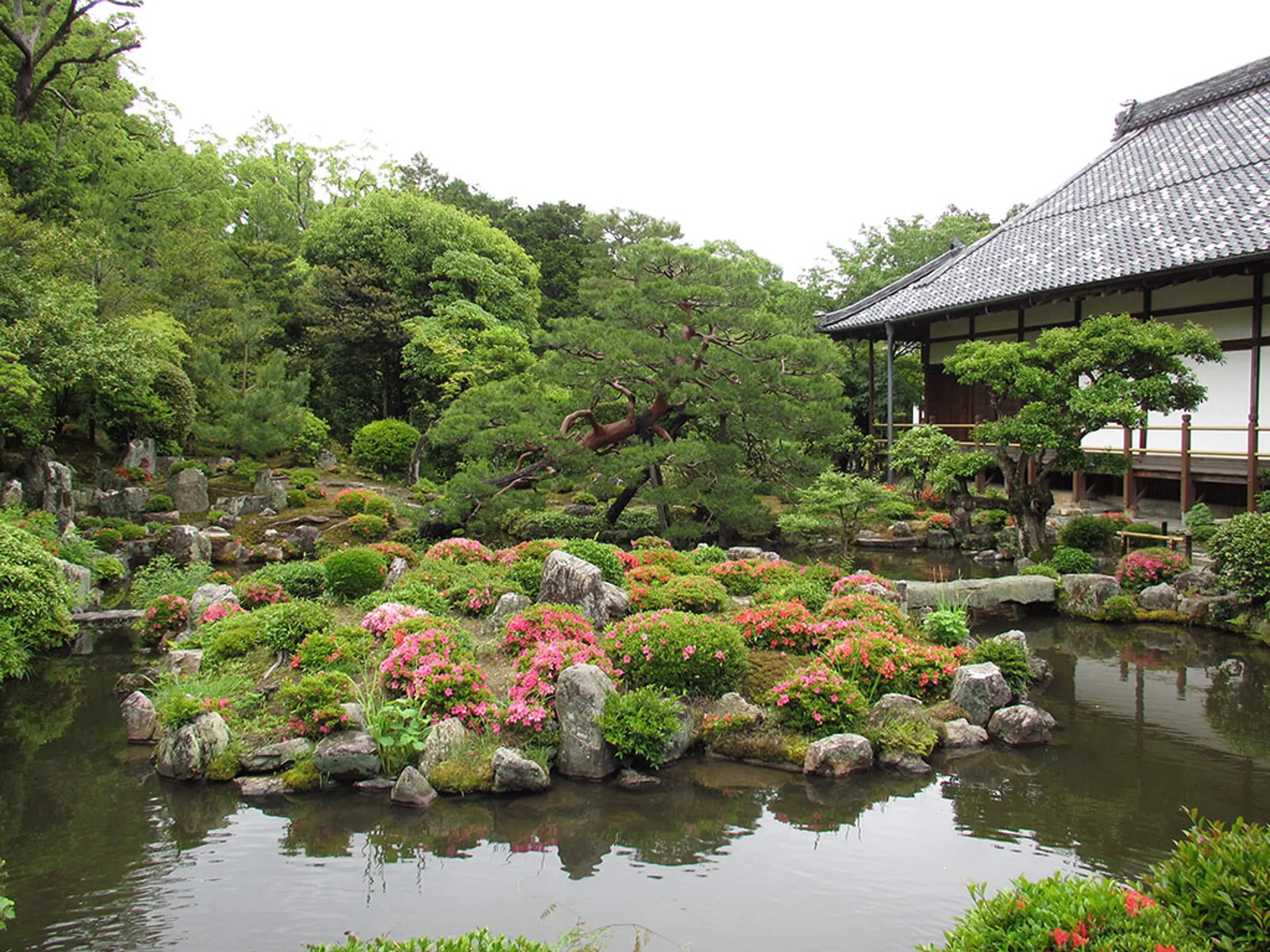 【等持院】さつき