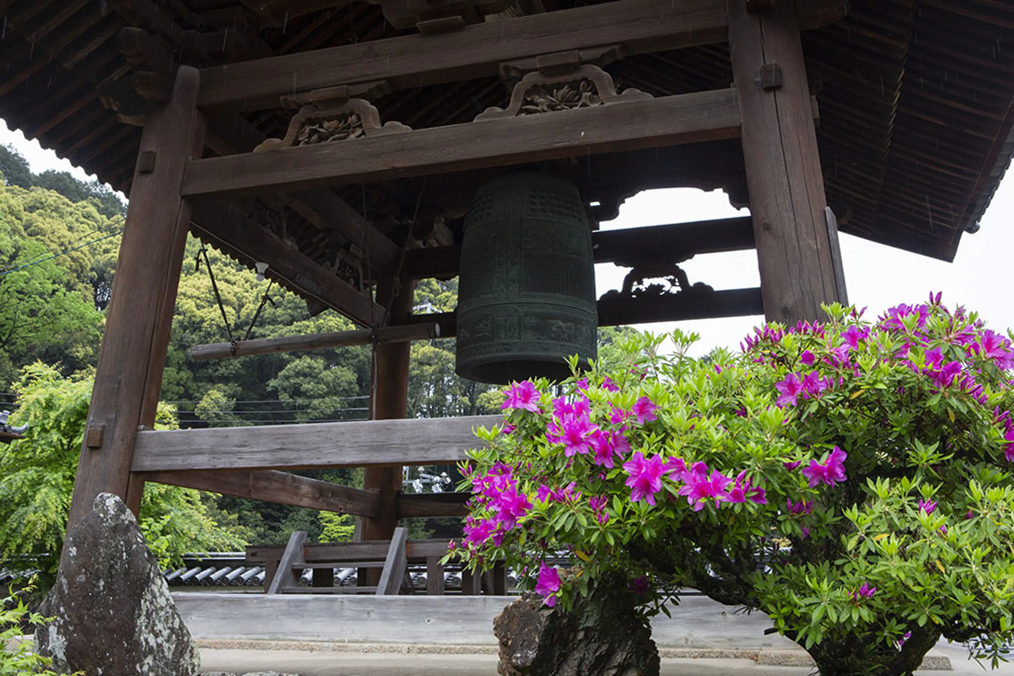 【興聖寺】さつき