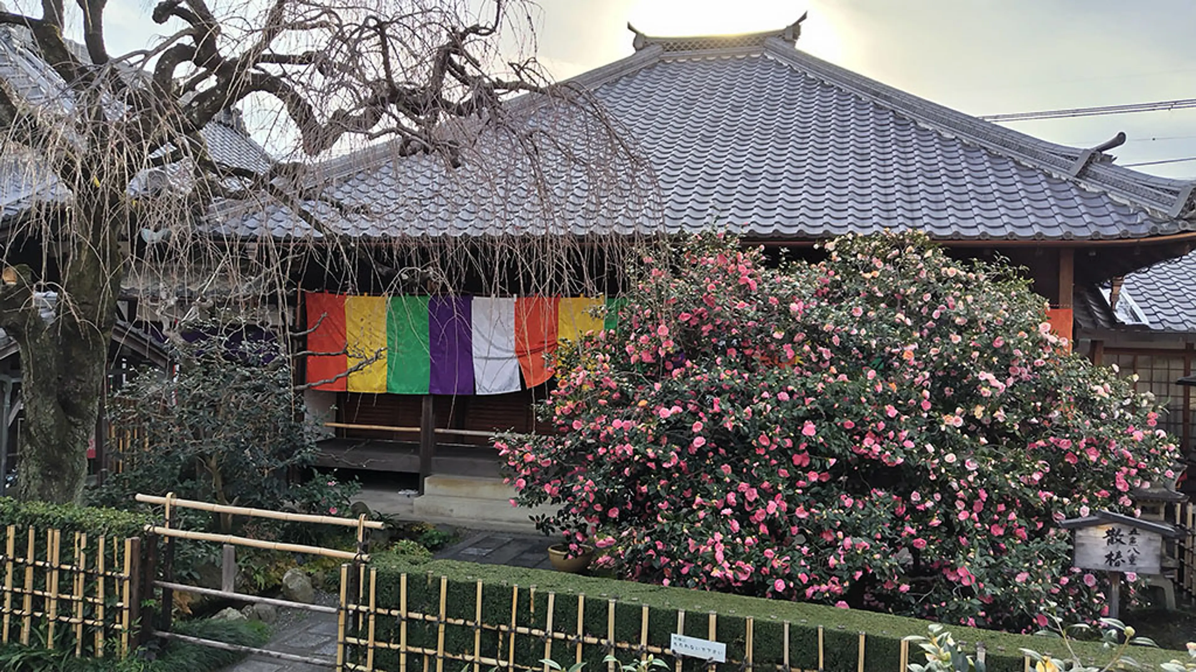 【地蔵院(椿寺)】椿