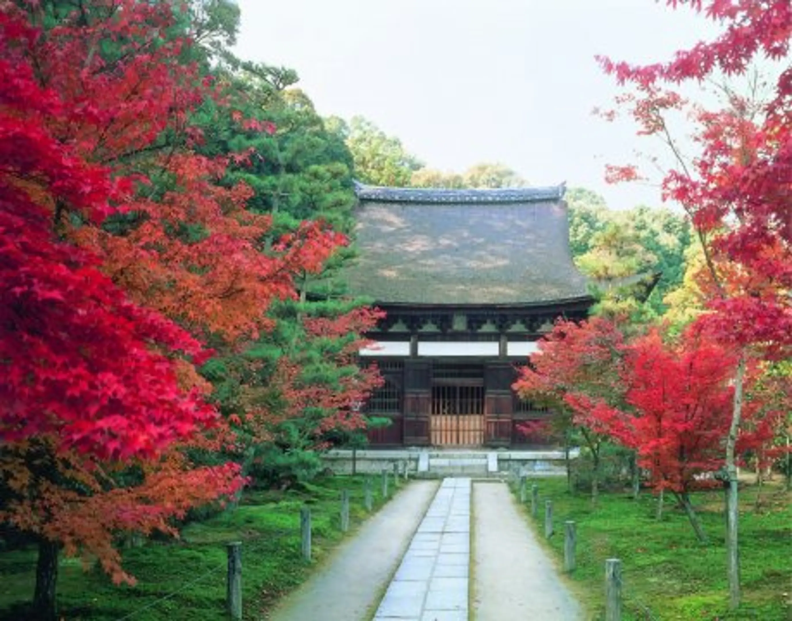 酬恩庵一休寺の紅葉