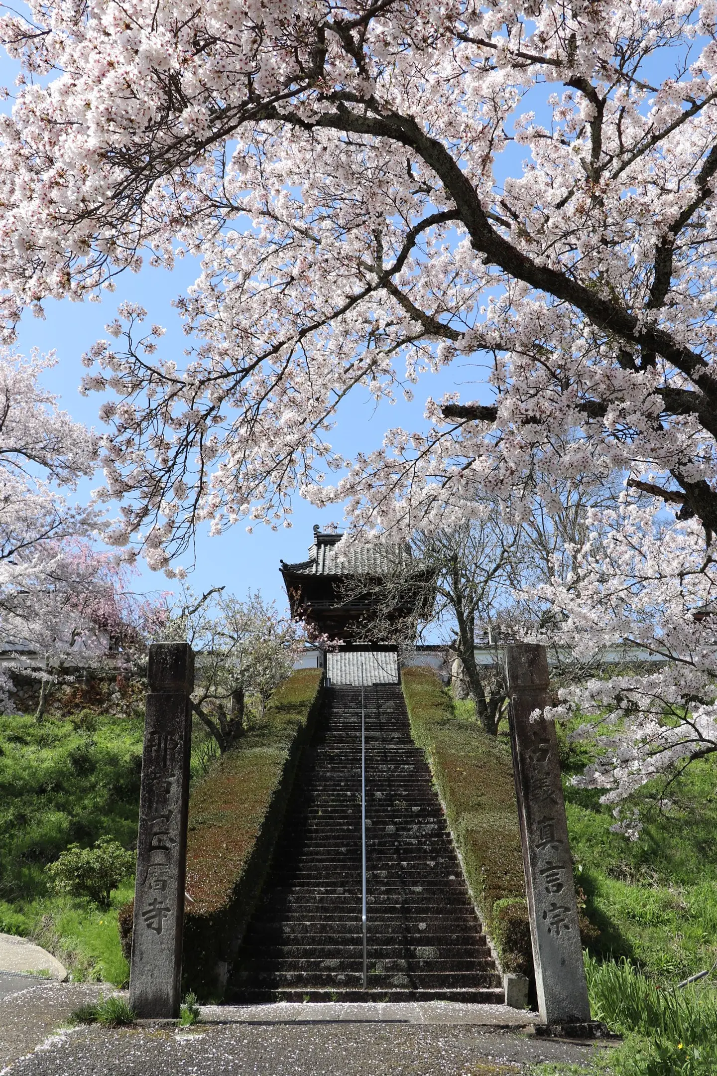 正暦寺