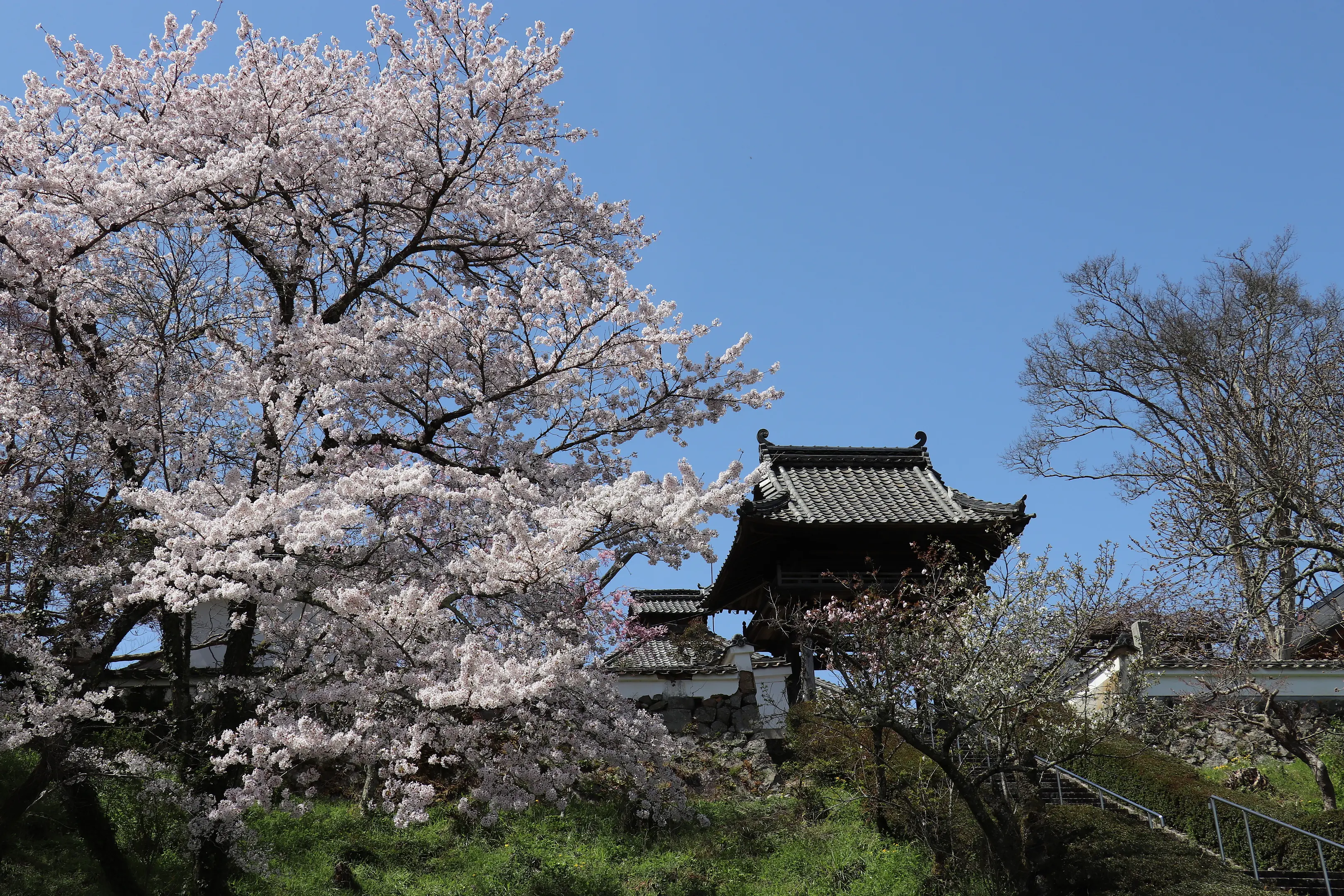 正暦寺