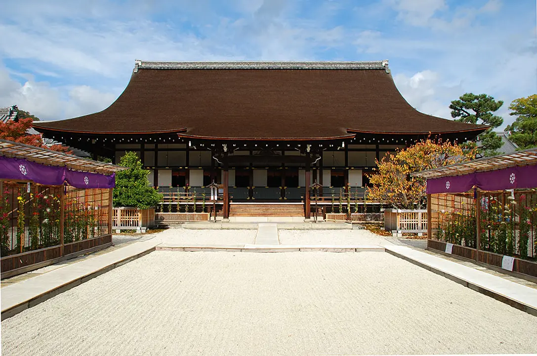 【旧嵯峨御所 大本山大覚寺】嵯峨菊