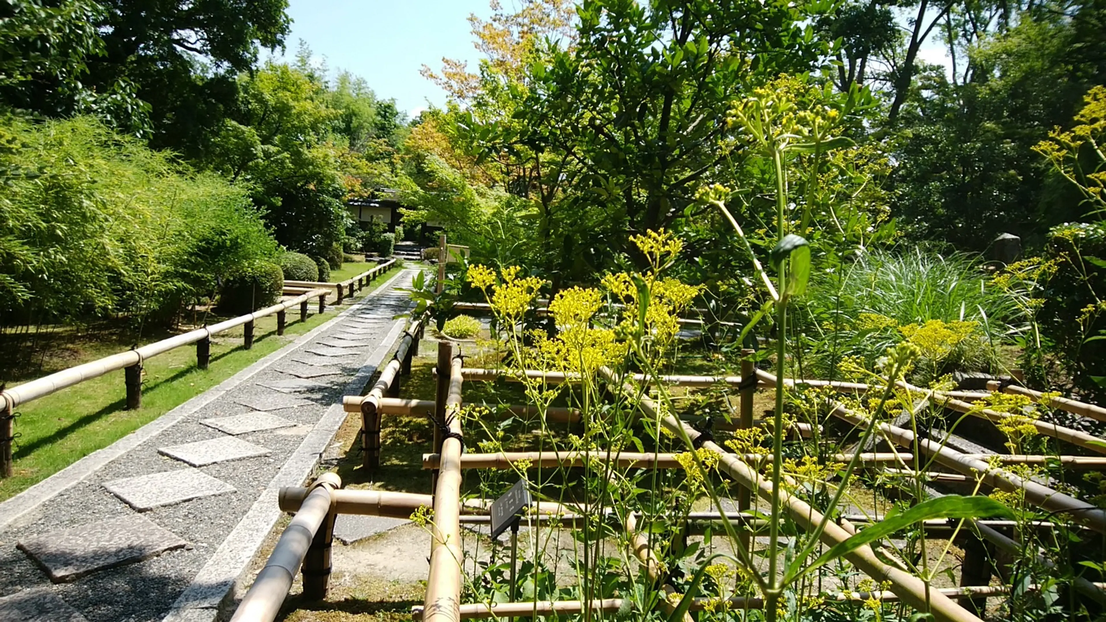 松花堂.jpg