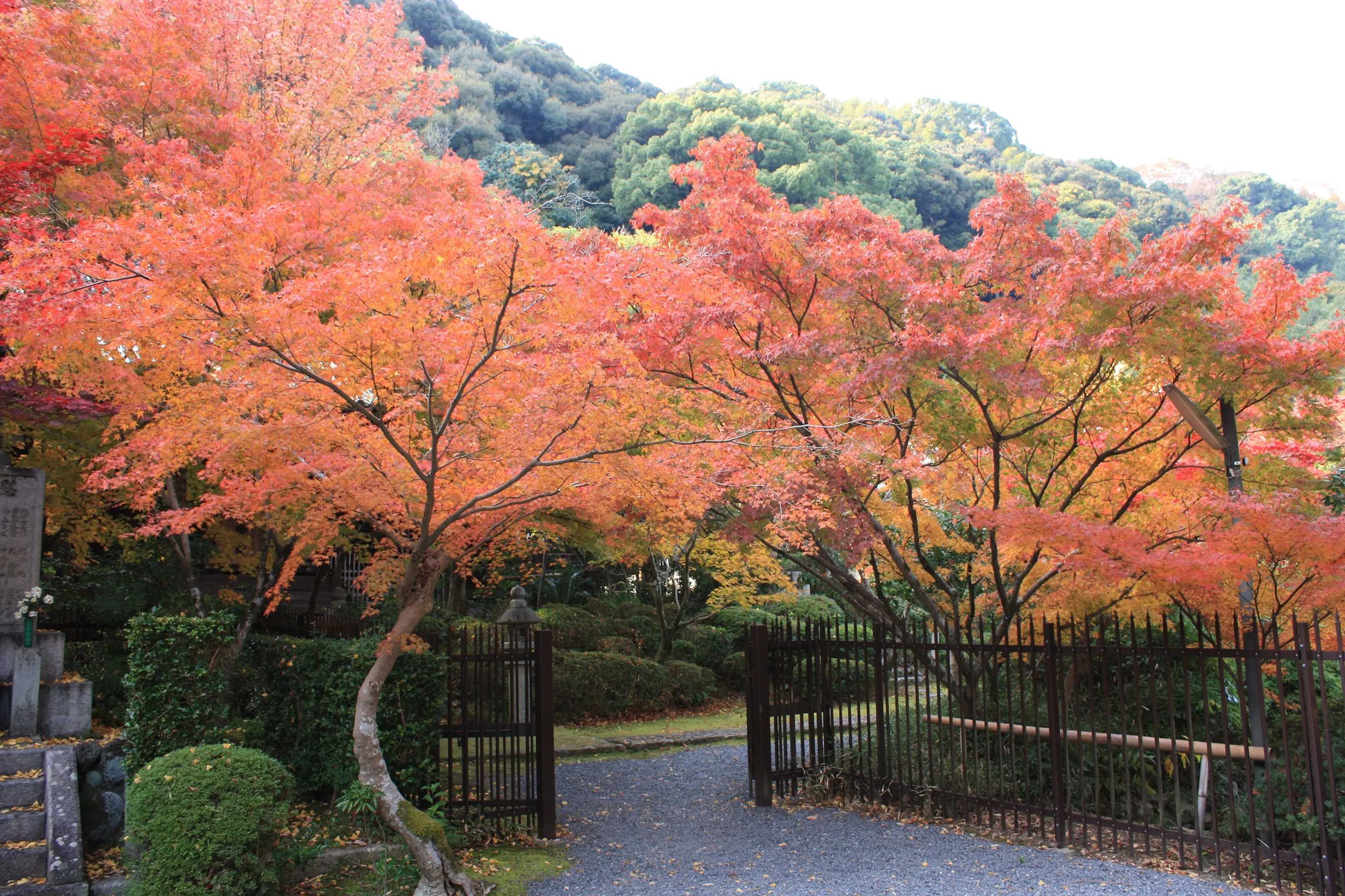 善法律寺2.jpg