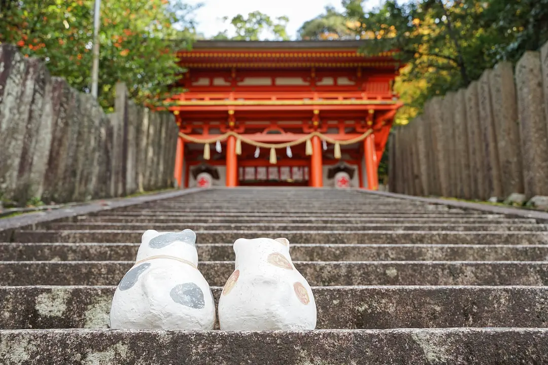 631金刀比羅神社(1).jpg