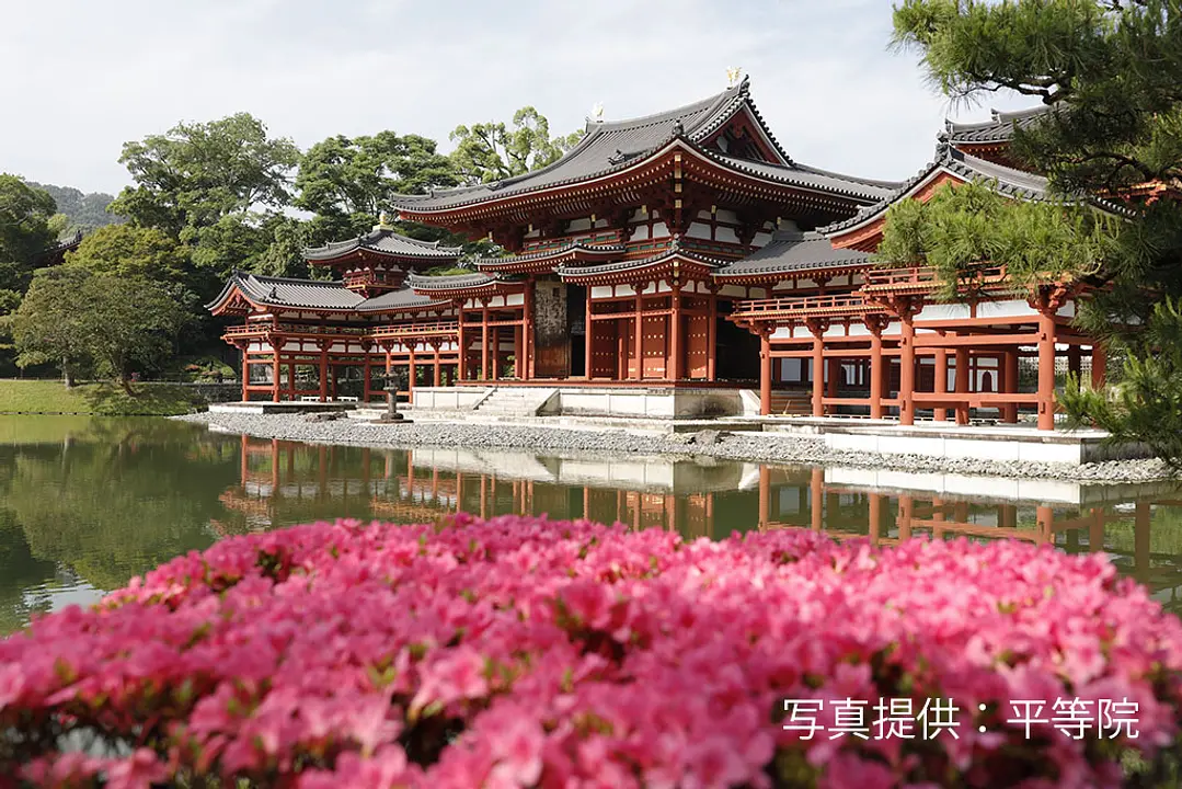 【平等院】さつき