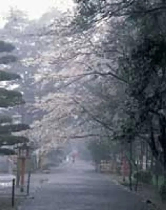 大原野神社