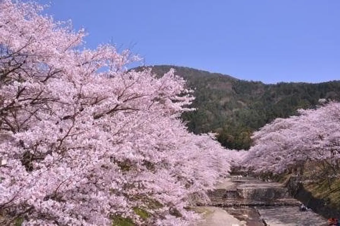 七谷川（和らぎの道）