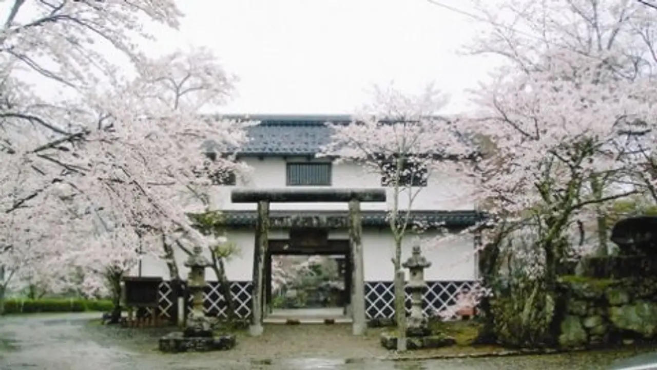 【山家城址公園】桜