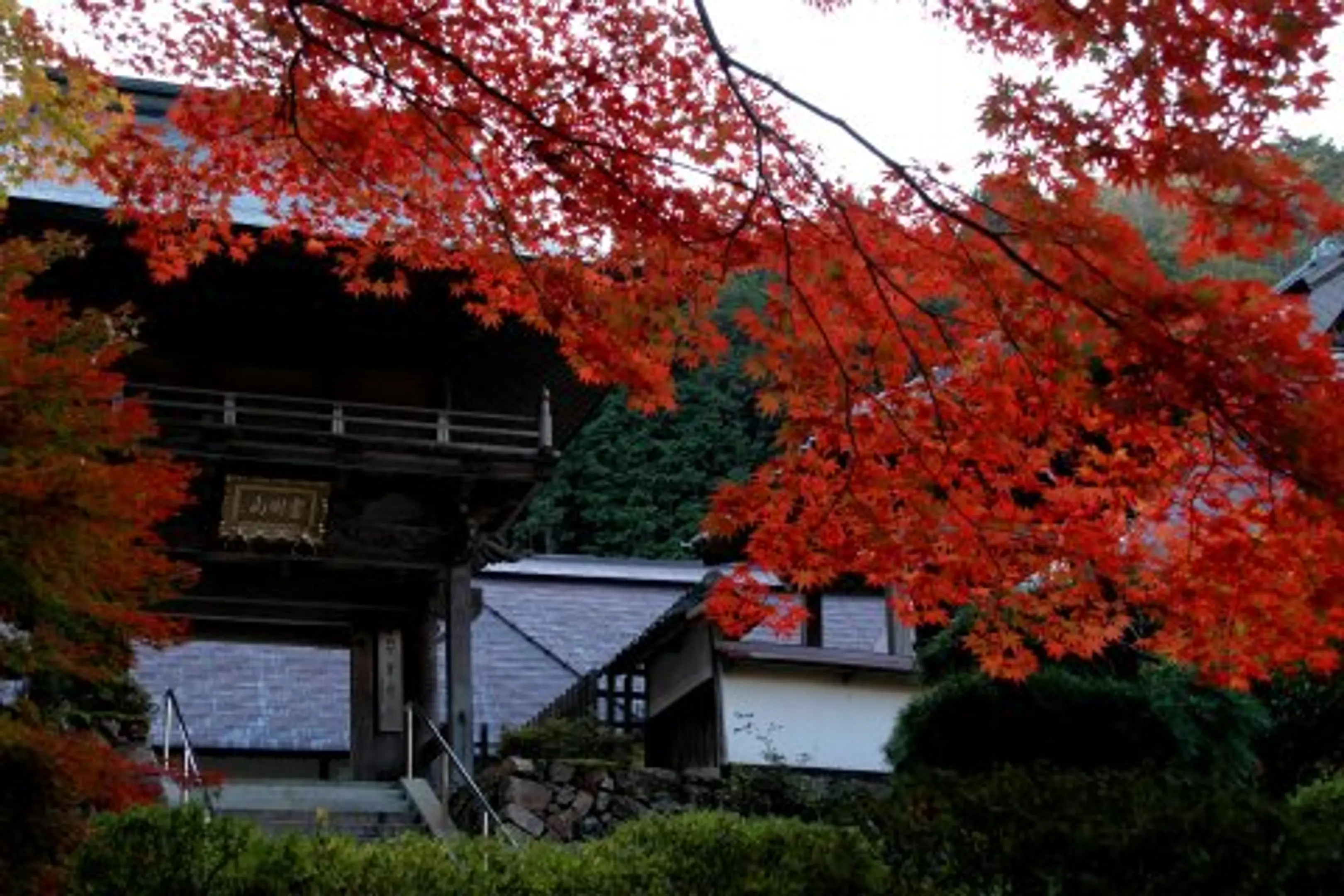 玉雲寺の紅葉